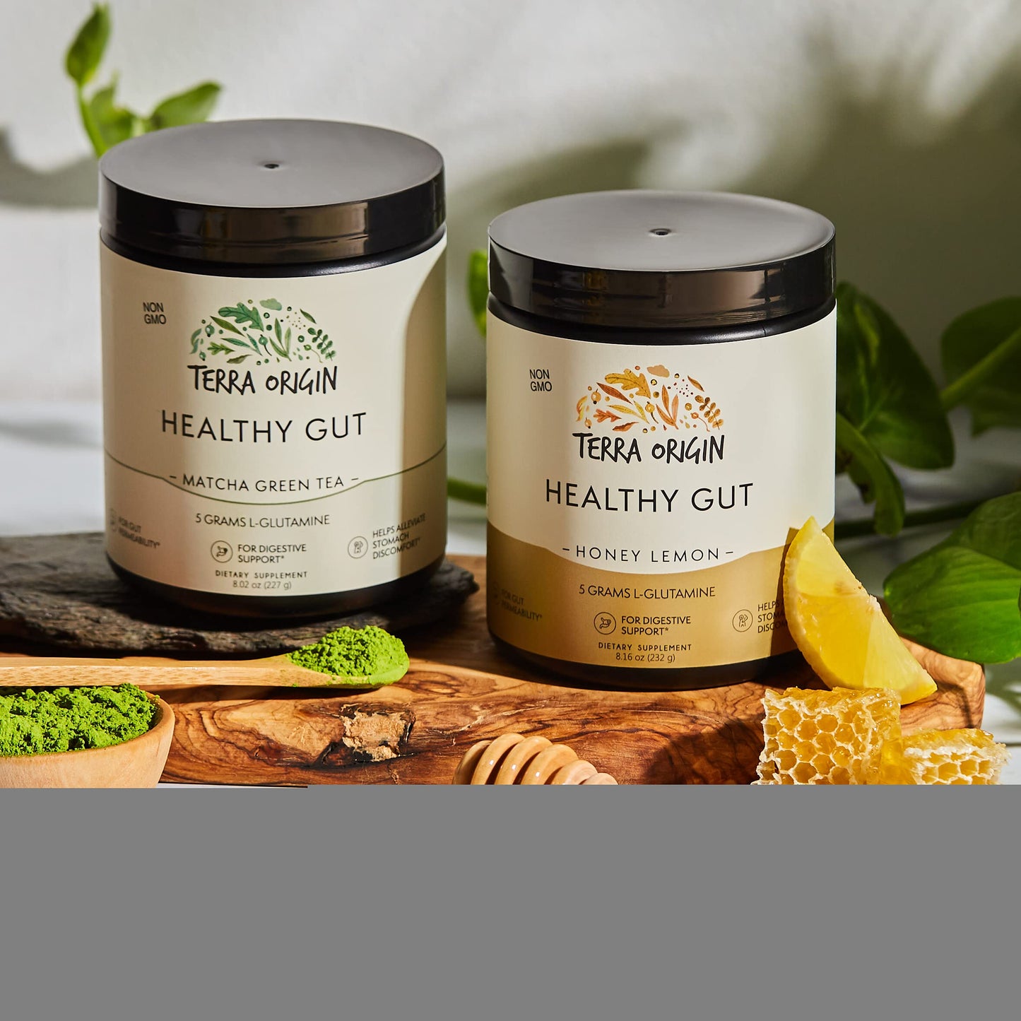 TERRA ORIGIN Healthy Gut Powder (Honey Lemon) | 30-Servings with L-Glutamine