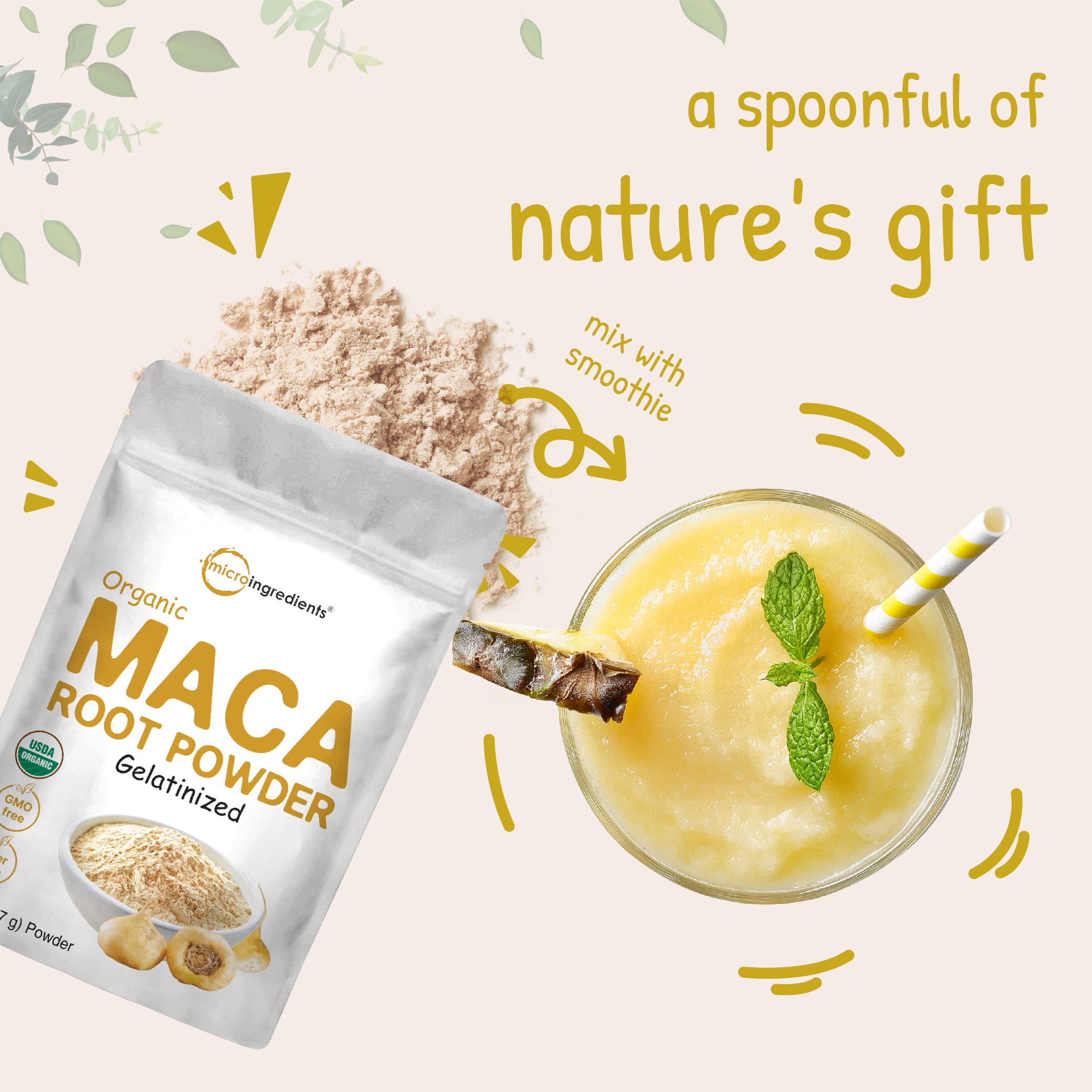 Organic Maca Root Powder, 2 Pound, Gelatinized for Better Absorption Micro Ingredients