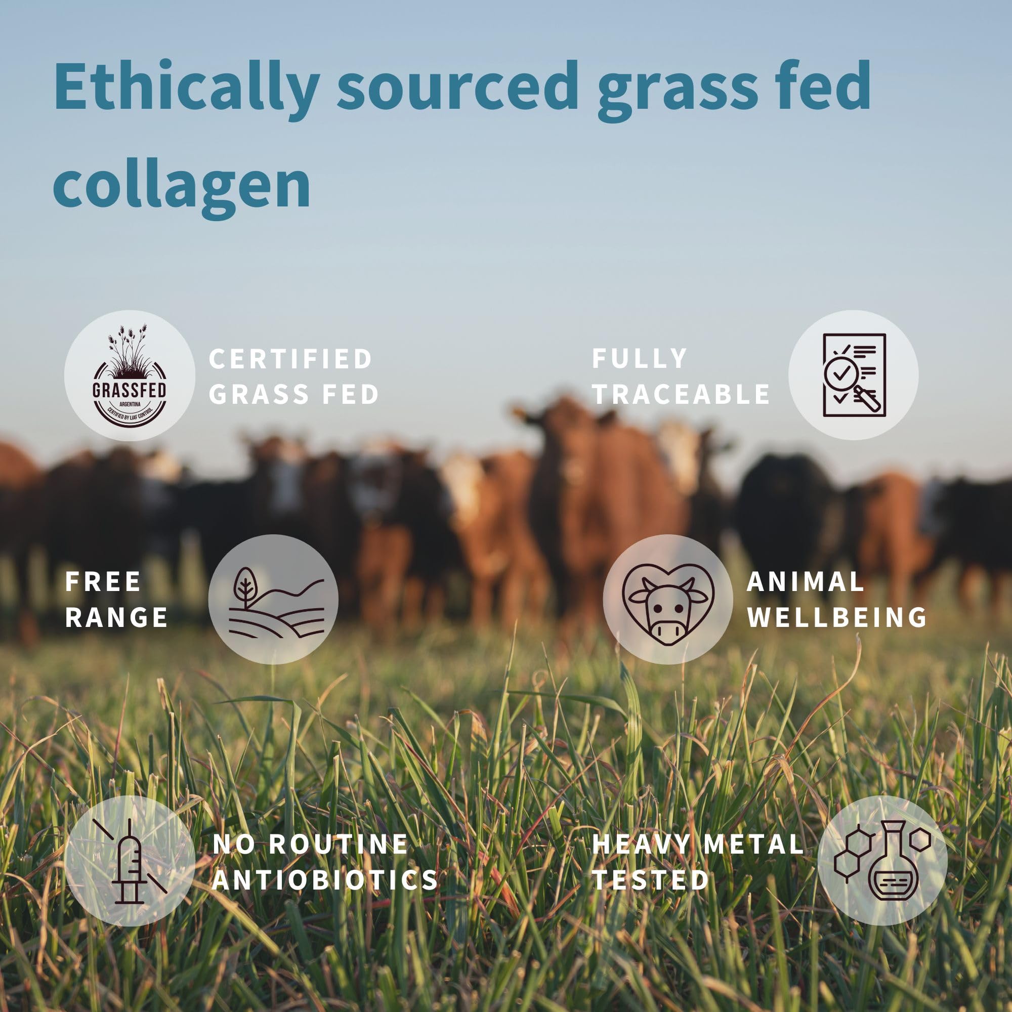 Advanced Hydrolysed Collagen Peptides, 100% Grass Fed & Ethically Sourced Igennus Healthcare Nutrition