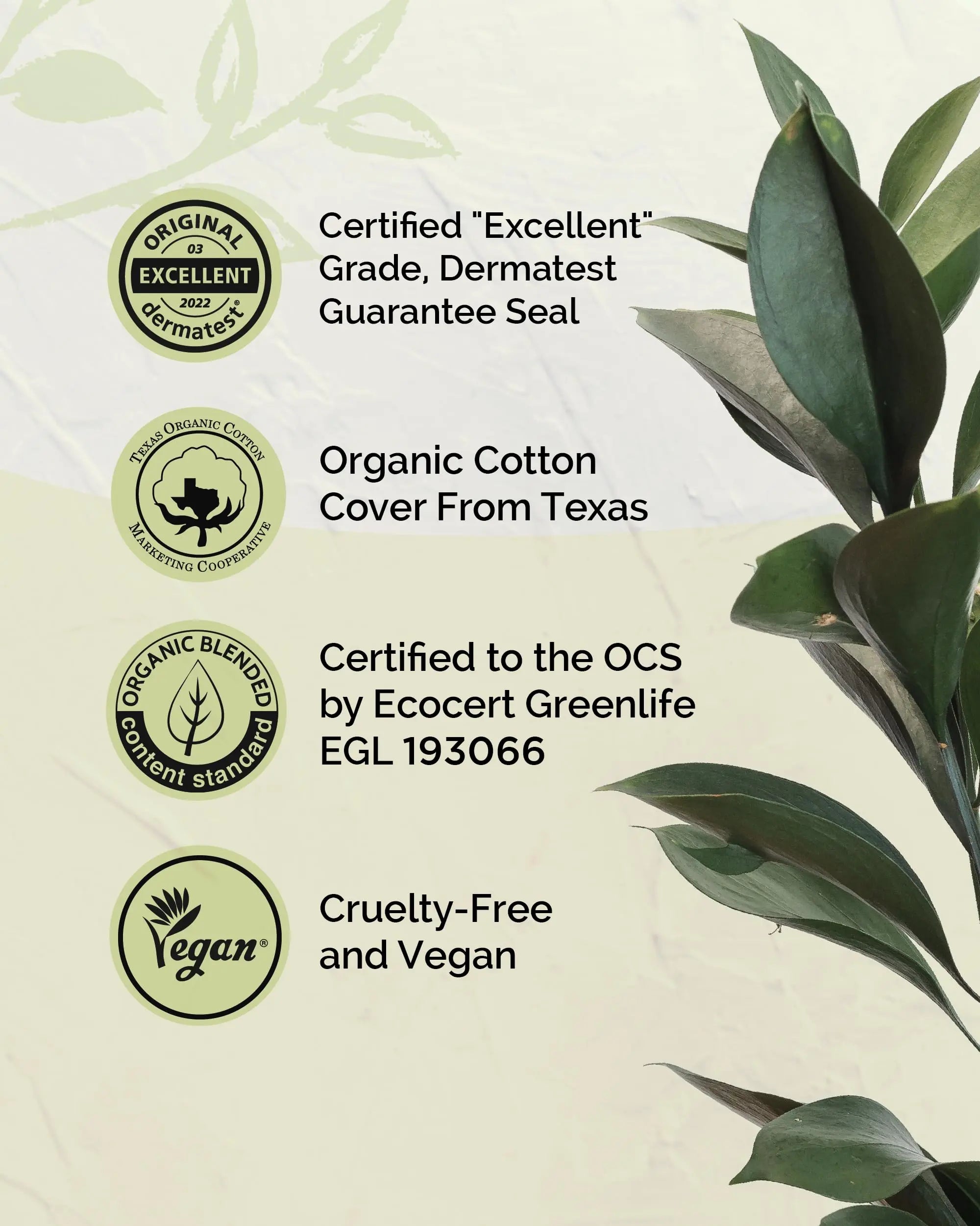 LABON Premium Vegan Organic Sanitary Pads (Regular, 25cm, 32 Counts) - 100% Organic Cotton Cover OCBON