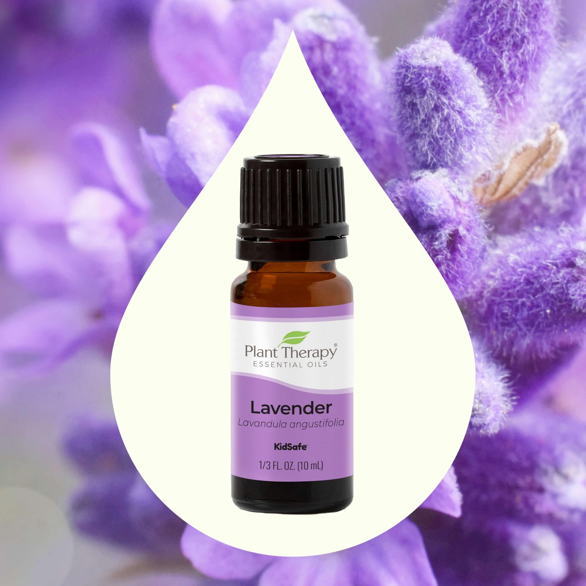 Plant Therapy Lavender Essential Oil 100% Pure, Undiluted, Therapeutic Grade, Aromatherapy Diffuser Plant Therapy