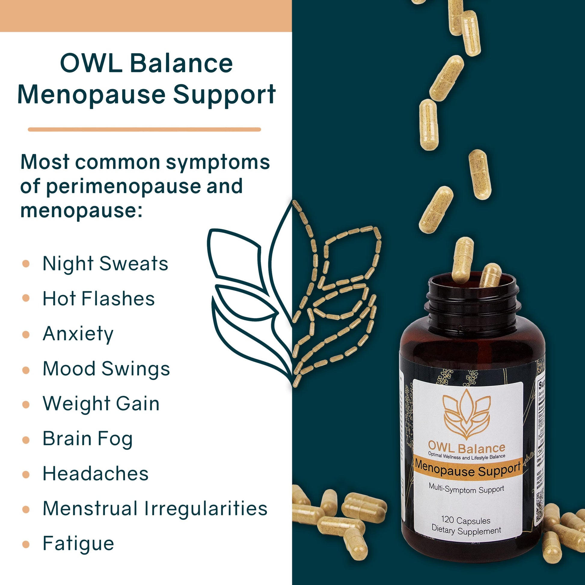 OWL Balance - Menopause Support for Women - Menopause + Perimenopause Relief OWL Balance