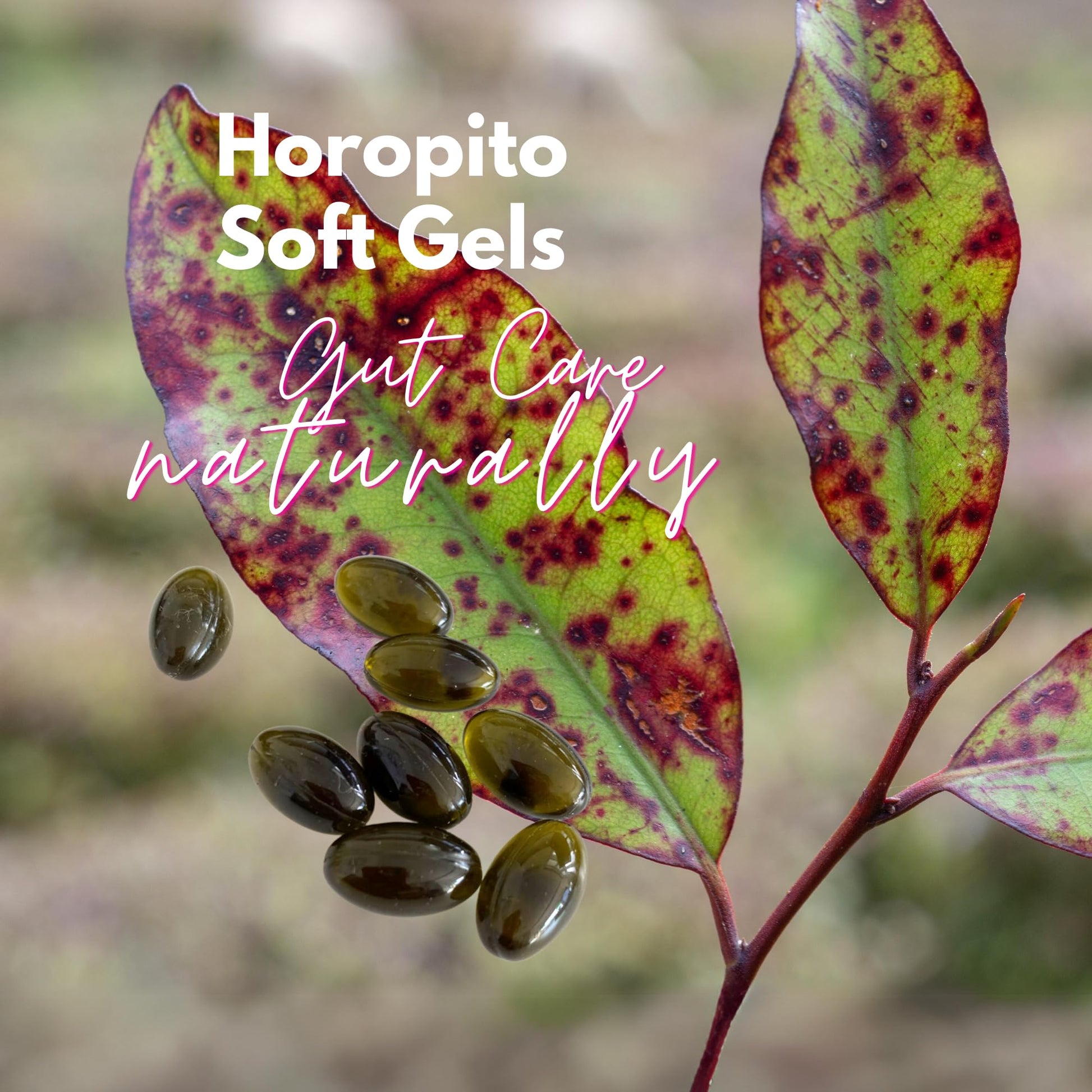 Kolorex Gut Care Candida Balance (Advanced Candida Care) 60ct Kolorex