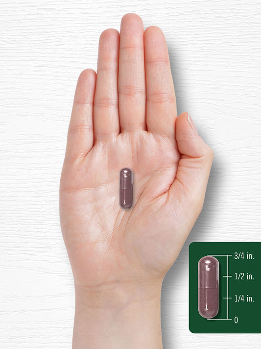 Carlyle Grape Seed Extract 4,000mg | 120 Quick Release Capsules | Standardized Extract