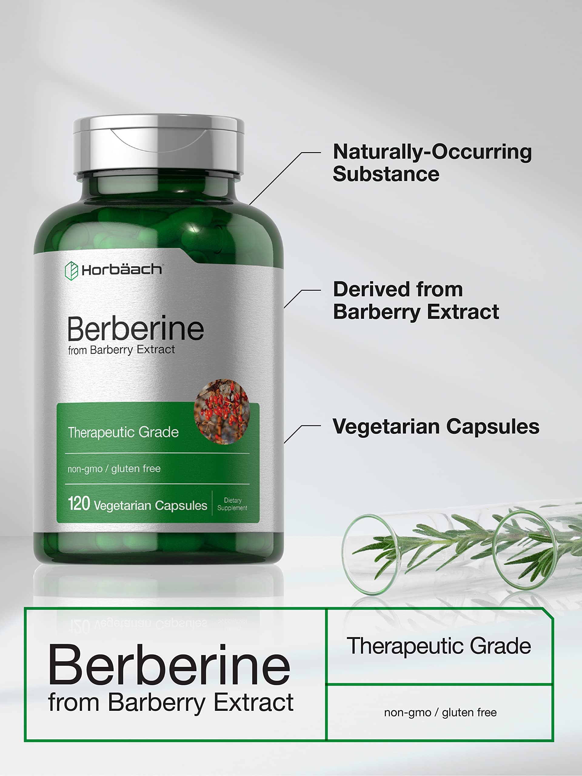 Berberine Supplement | 120 Capsules | Berberine HCl from Barberry Extract | Non-GMO Horbäach