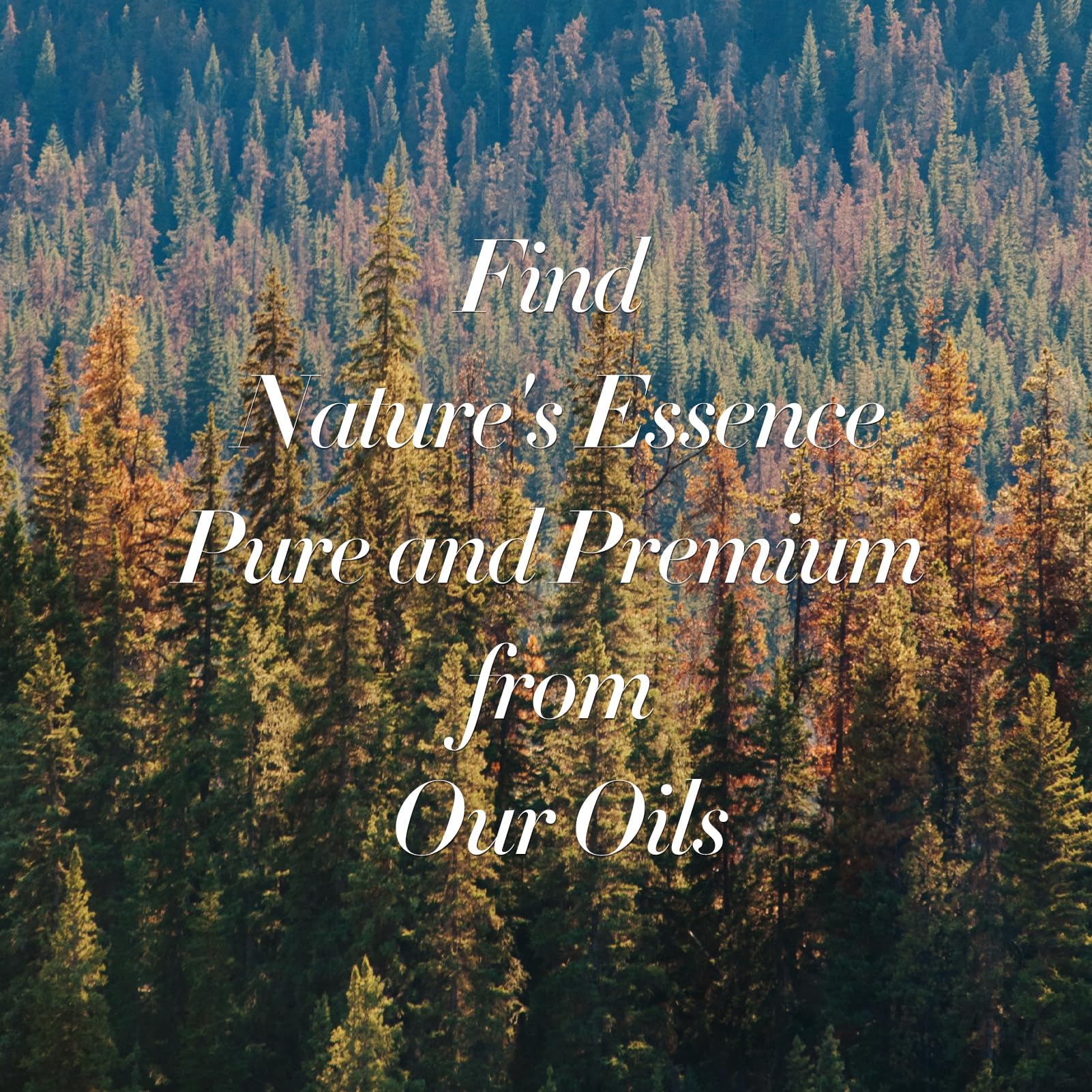 JCLOUD My Way Essential Oil for Diffuser - Hotel Collection Diffuser Oil & Home Luxury Scents – Pure JCLOUD