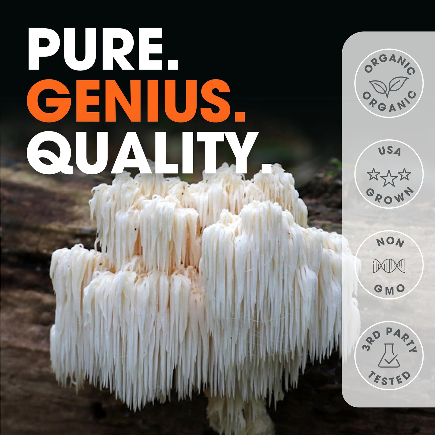 Genius Lions Mane Supplement Capsules - Organic Nootropic Supplement, 1200mg per
