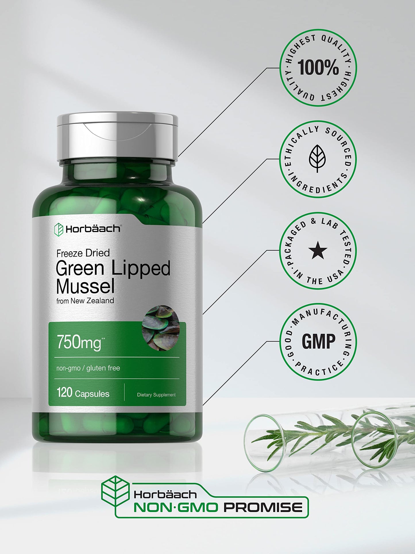 Green Lipped Mussel | 750 mg | 120 Capsules | from New Zealand | Premium Freeze Dried
