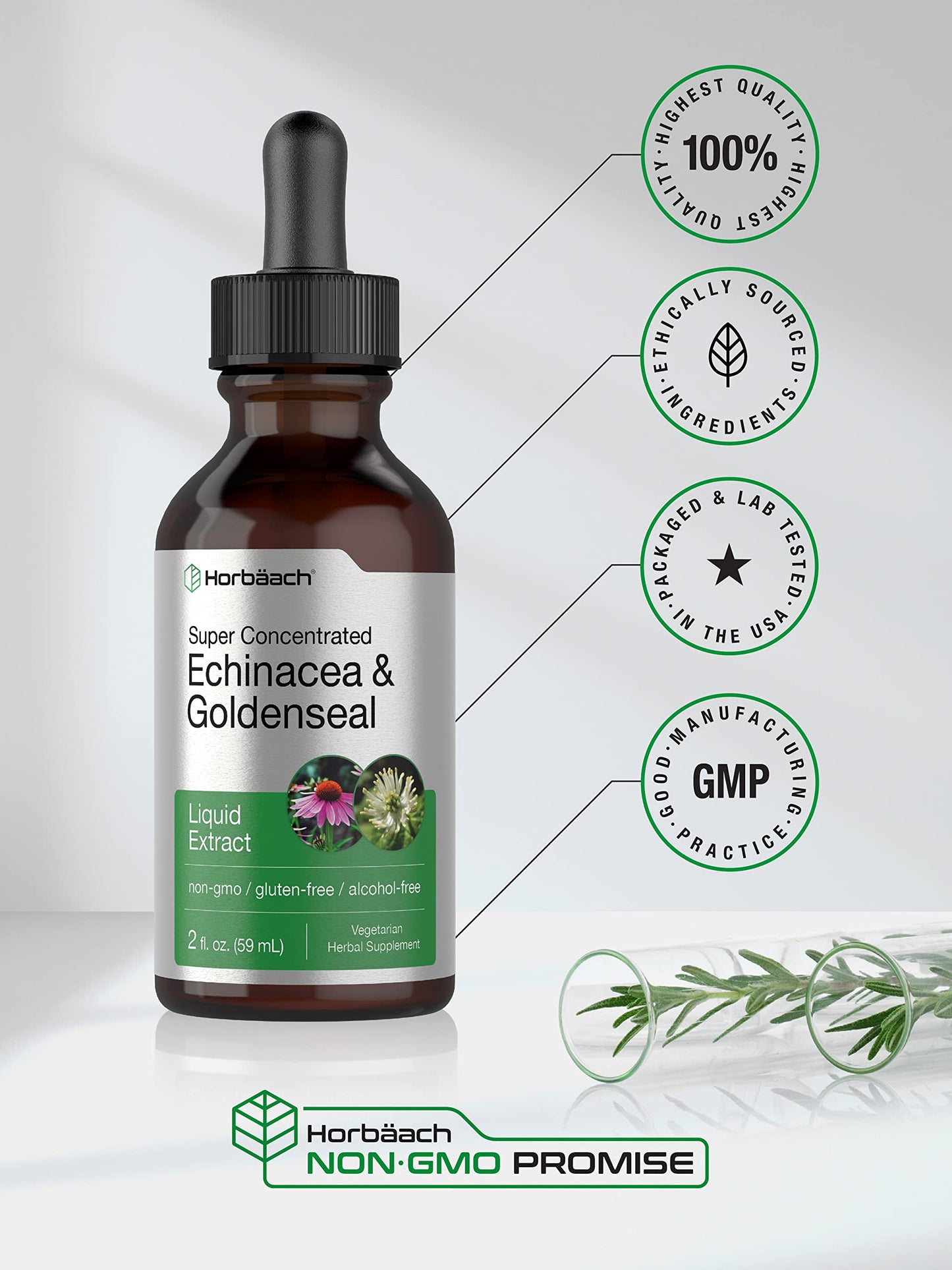 Echinacea Goldenseal Liquid Extract | 2 fl oz | Alcohol Free Tincture Drops | Vegetarian