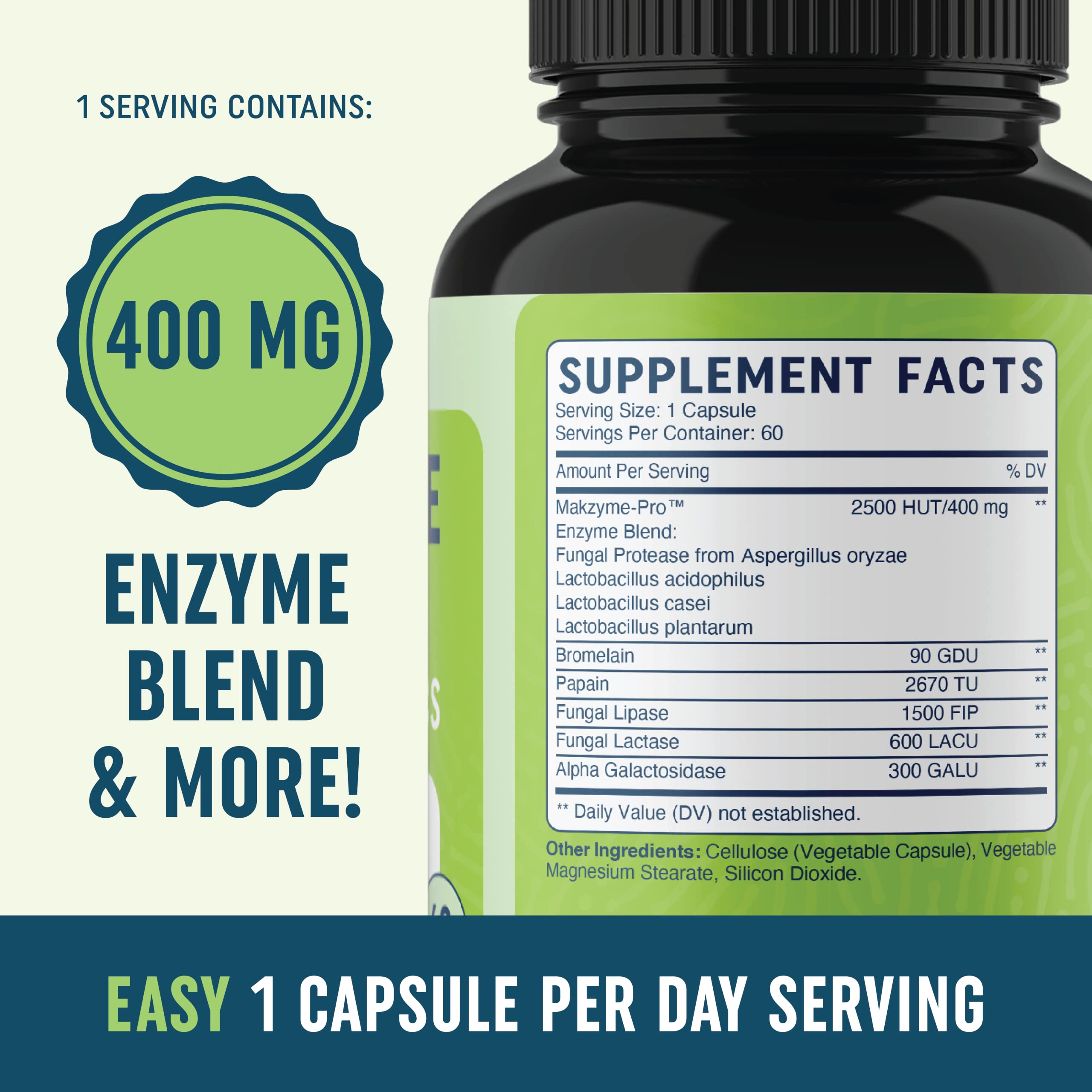 Digestive Enzymes with Probiotics for Bloating Relief & Digestive Health MAV NUTRITION