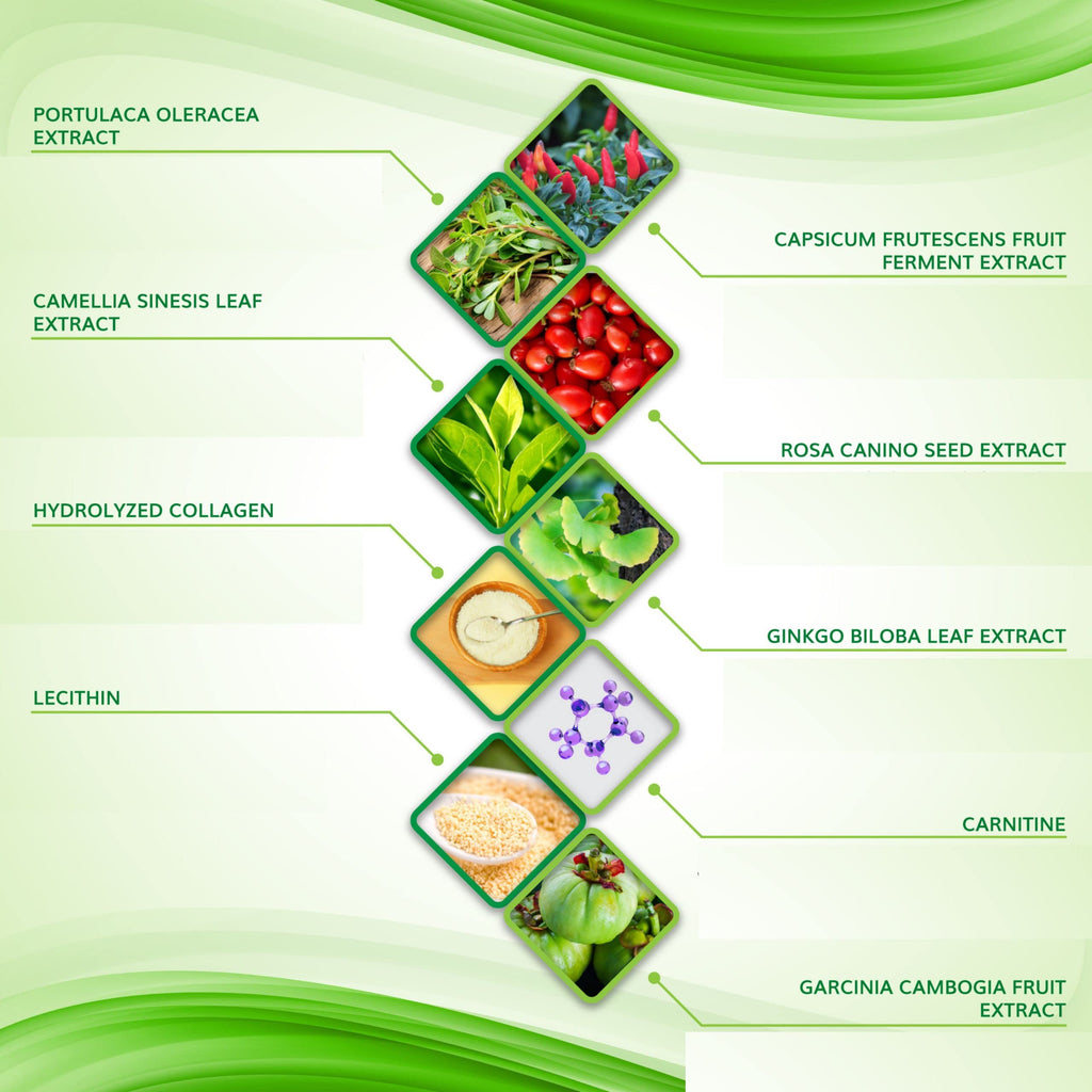 Moisturizing Body Wrap - New and Improved All Natural Body Applicator (5 WRAPS) Shape and Tone Body Products