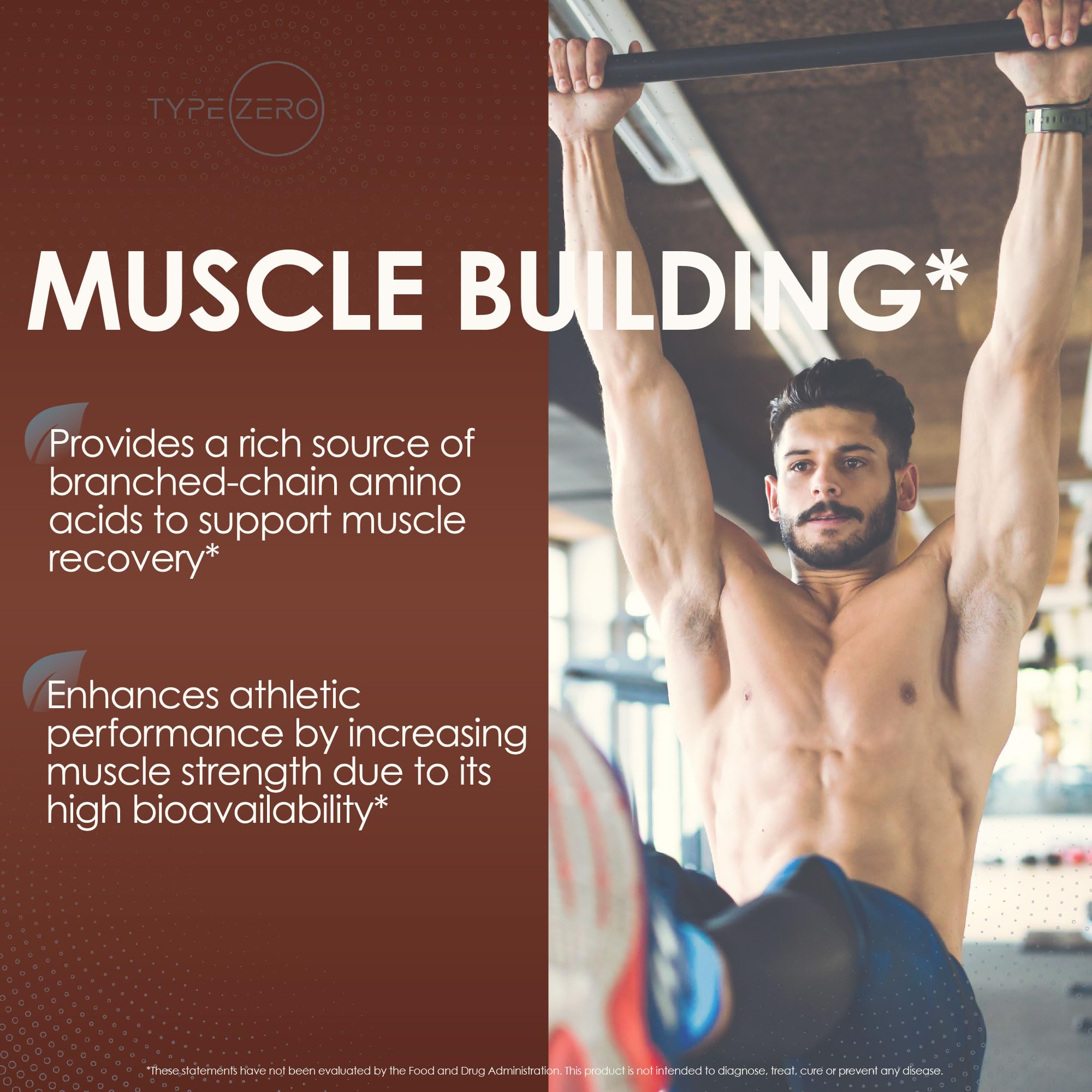 Type Zero Grass Fed Whey Protein Concentrate Powder (Chocolate, 2LBS) - Gluten Free Type Zero