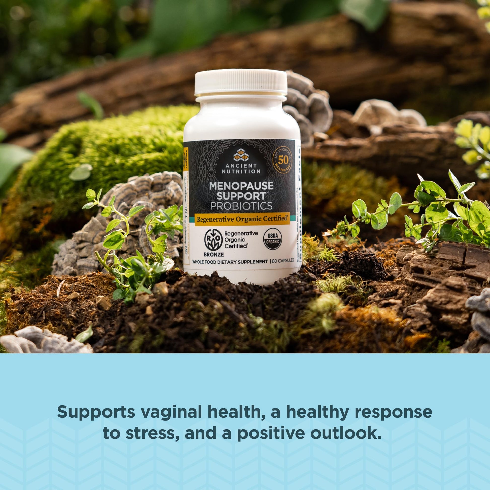 Ancient Nutrition Regenerative Organic Certified Probiotics for Menopause Support Ancient Nutrition