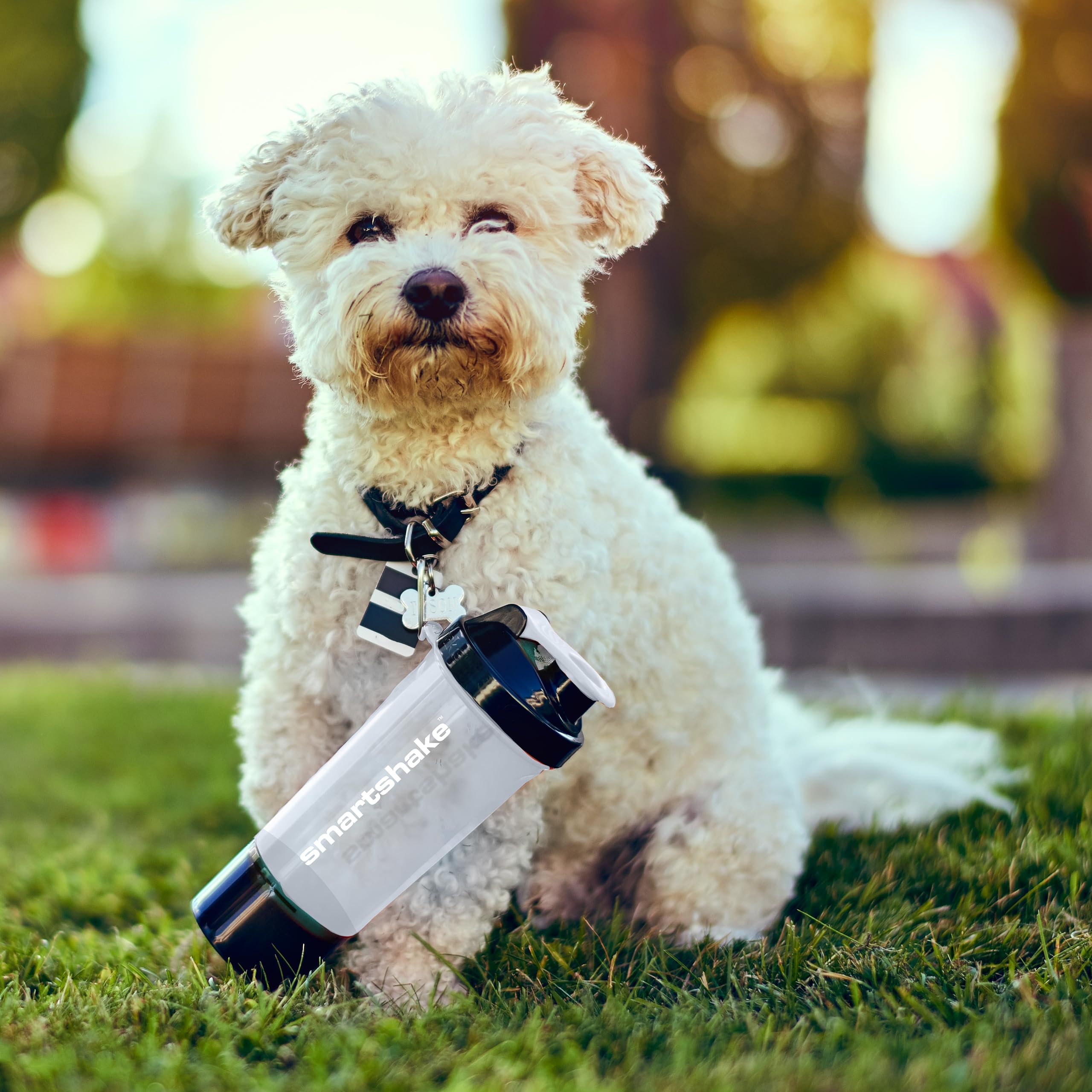 Smartshake Slim 4-Pack Protein Shaker Bottle 400 ml | 13.5 oz – Storage Included - Leakproof Screw Smartshake