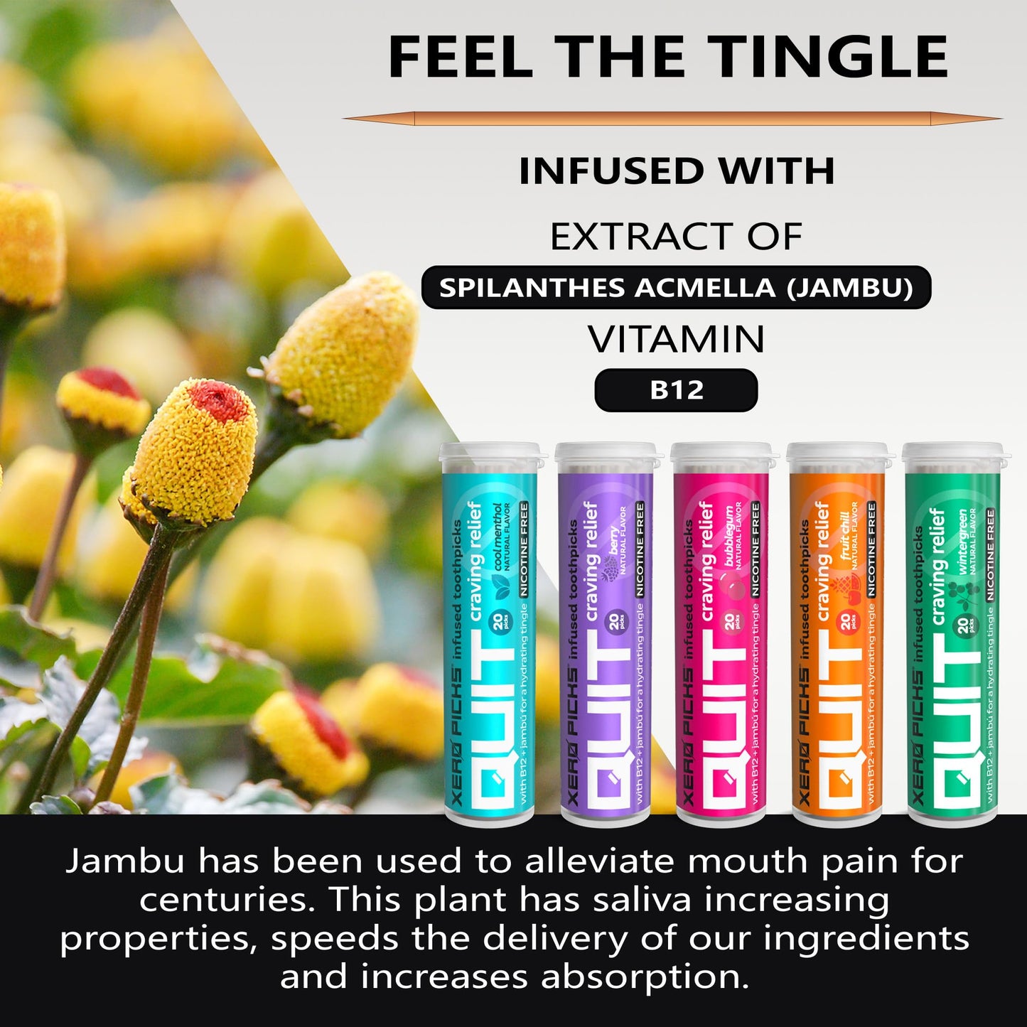 Xero Picks Infused Flavored Toothpicks to Help Quit Smoking - Nicotine