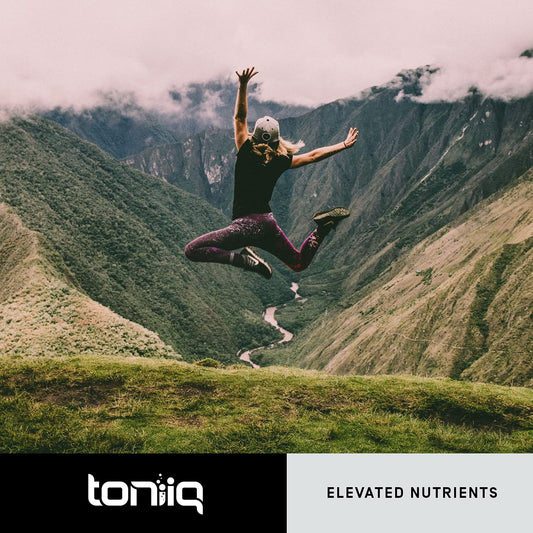 Toniiq Ultra High Purity Quercetin Capsules - 95%+ Highly Purified and Bioavailable