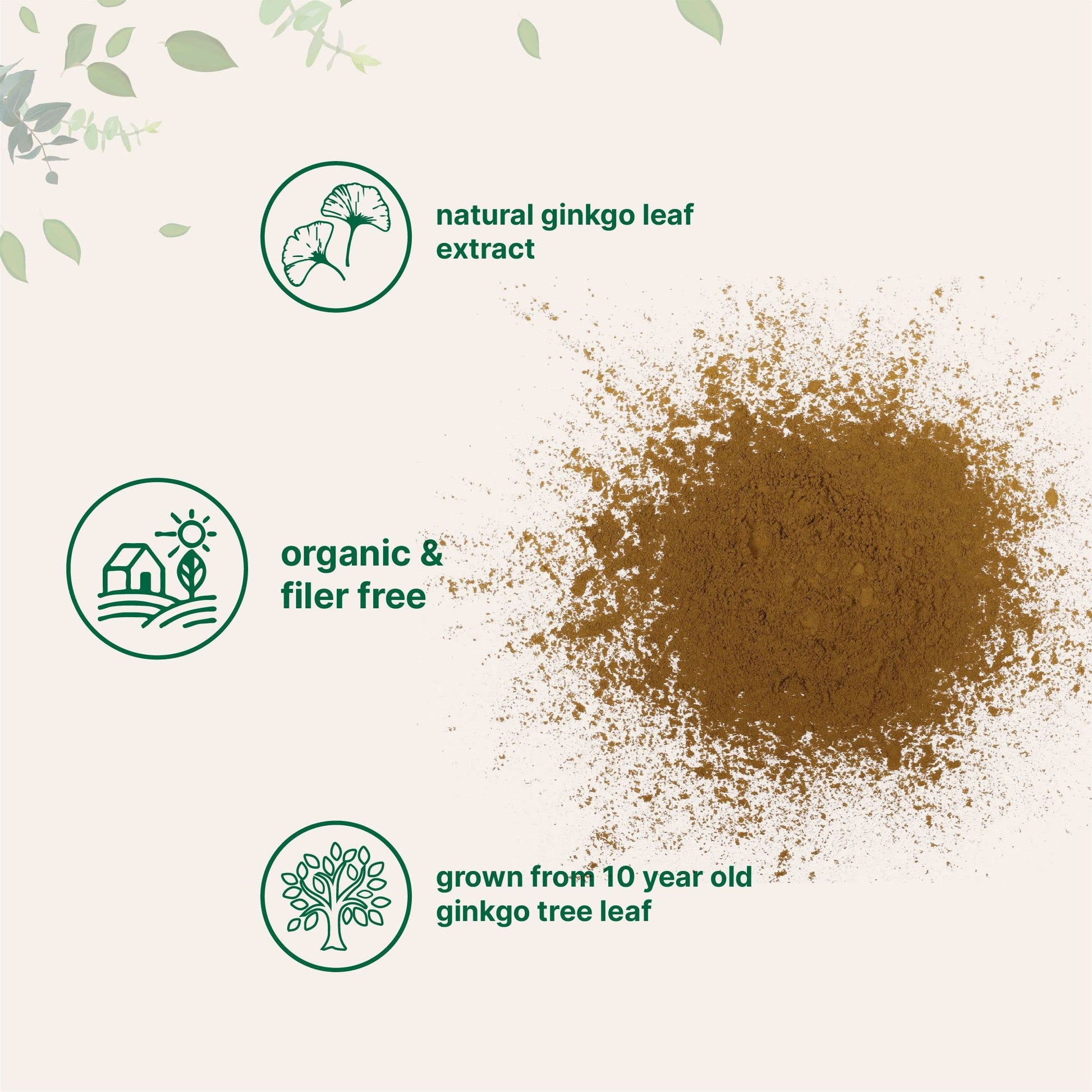 Micro Ingredients Raw Organic Ginkgo Biloba Powder, 8 Ounce (18 Months Supply) Micro Ingredients