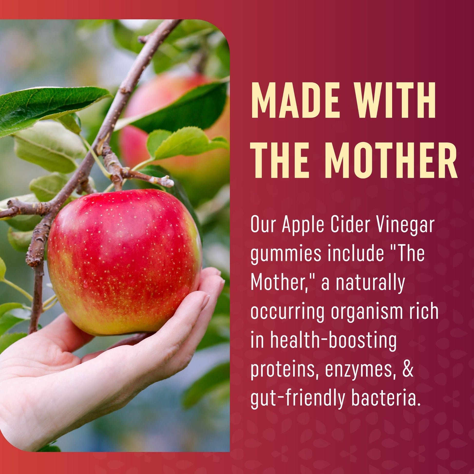 Organic Apple Cider Vinegar Gummies (60 Ct.) | Weight, Digestion, Detox, Immunity & Diet Support MAV NUTRITION