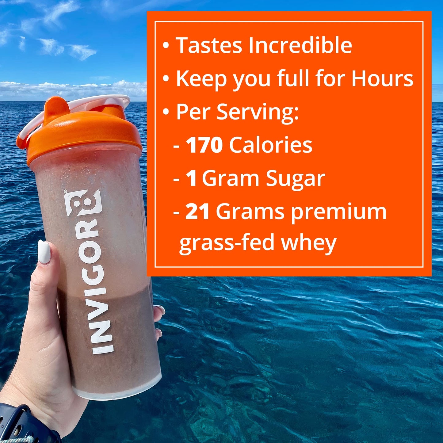 INVIGOR8 Superfood Shake (Chocolate Brownie) with Immunity Boosters - Gluten