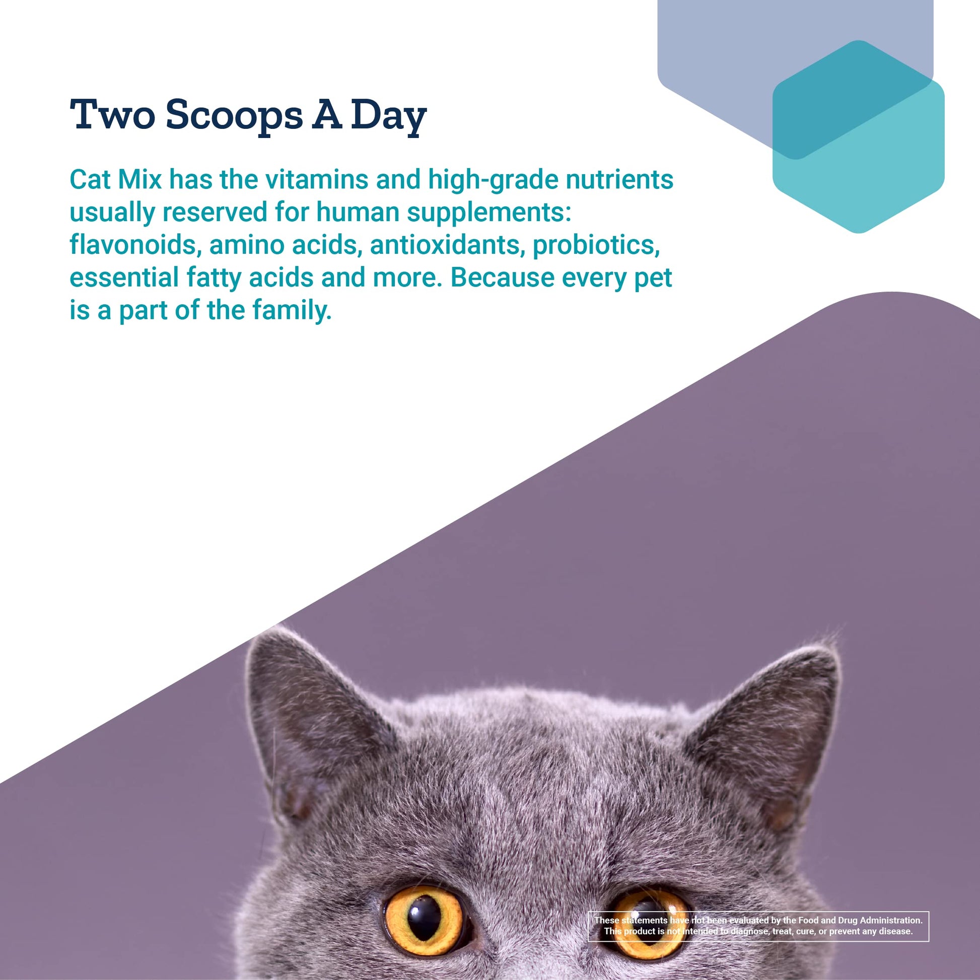 Life Extension Cat Mix – For Heart, Kidney & Pancreatic Function + Gut Health Life Extension