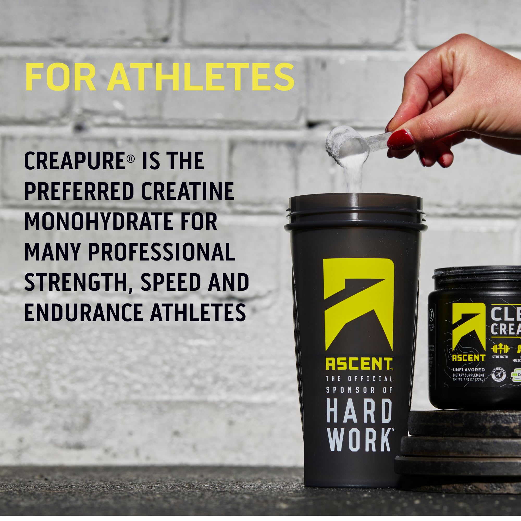 Ascent Clean Creatine Monohydrate Powder - 5G Per Serving, Creapure Creatine Supple Ascent