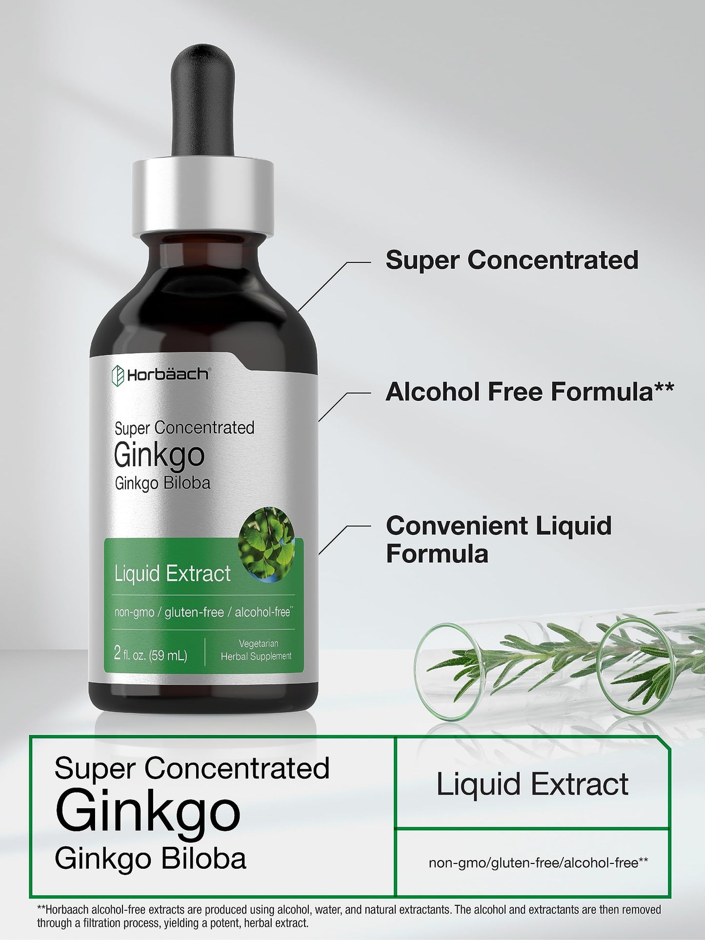 Ginkgo Biloba Extract Liquid 2 fl oz | Alcohol-Free Herb Supplement | Vegetarian