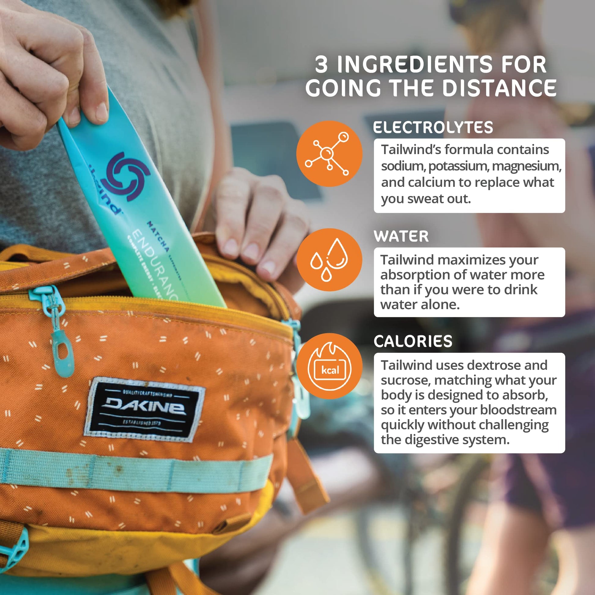 Tailwind Grab-and-Go Endurance Fuel Single Serve Assorted Flavors