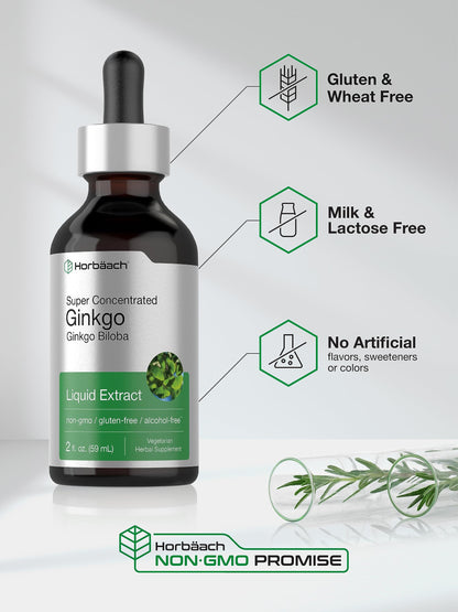 Ginkgo Biloba Extract Liquid 2 fl oz | Alcohol-Free Herb Supplement | Vegetarian