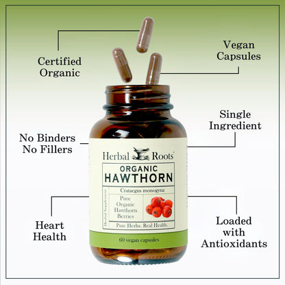 Herbal Roots Organic Hawthorn Berry Capsules | Extra Strength 1,200mg per Serving