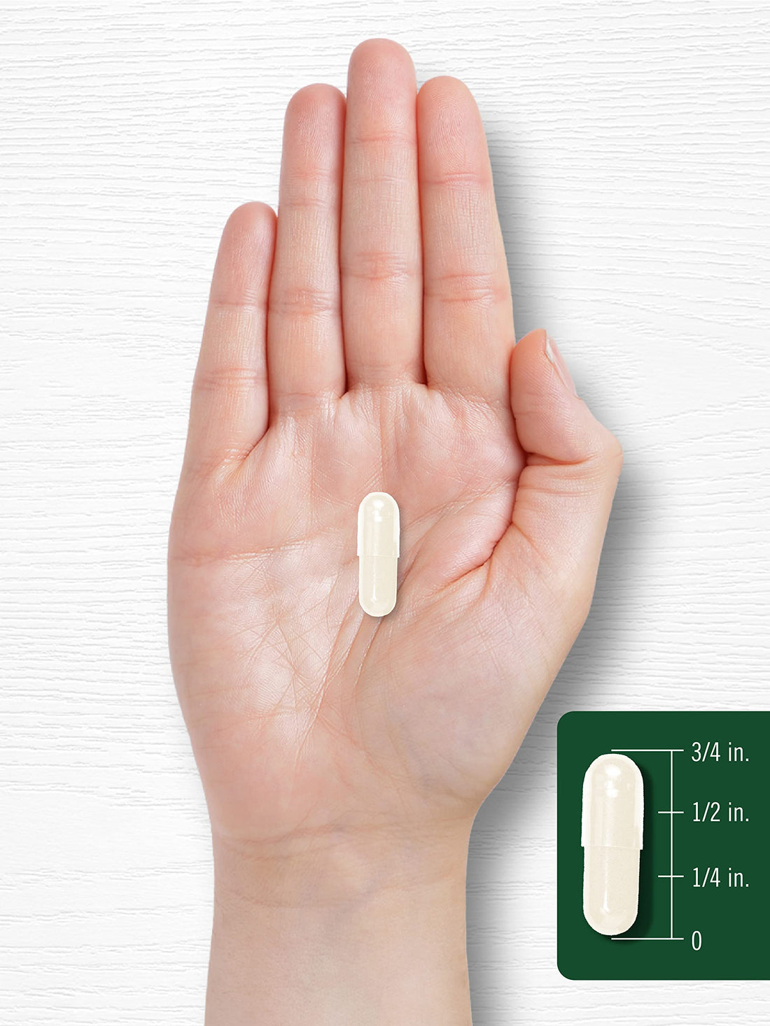 Carlyle Grapefruit Seed Extract | 500 mg 120 Capsules | Maximum Strength | Non-GMO