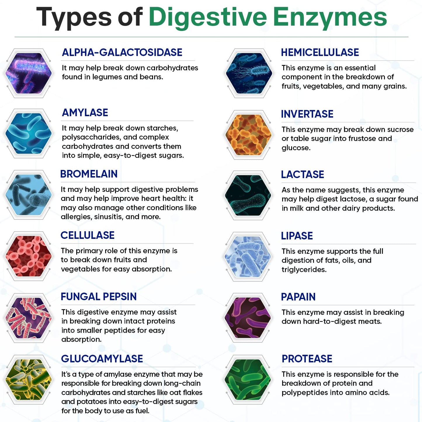 Wholesome Wellness Digestive Enzymes 1000MG Plus Prebiotics & Probioti
