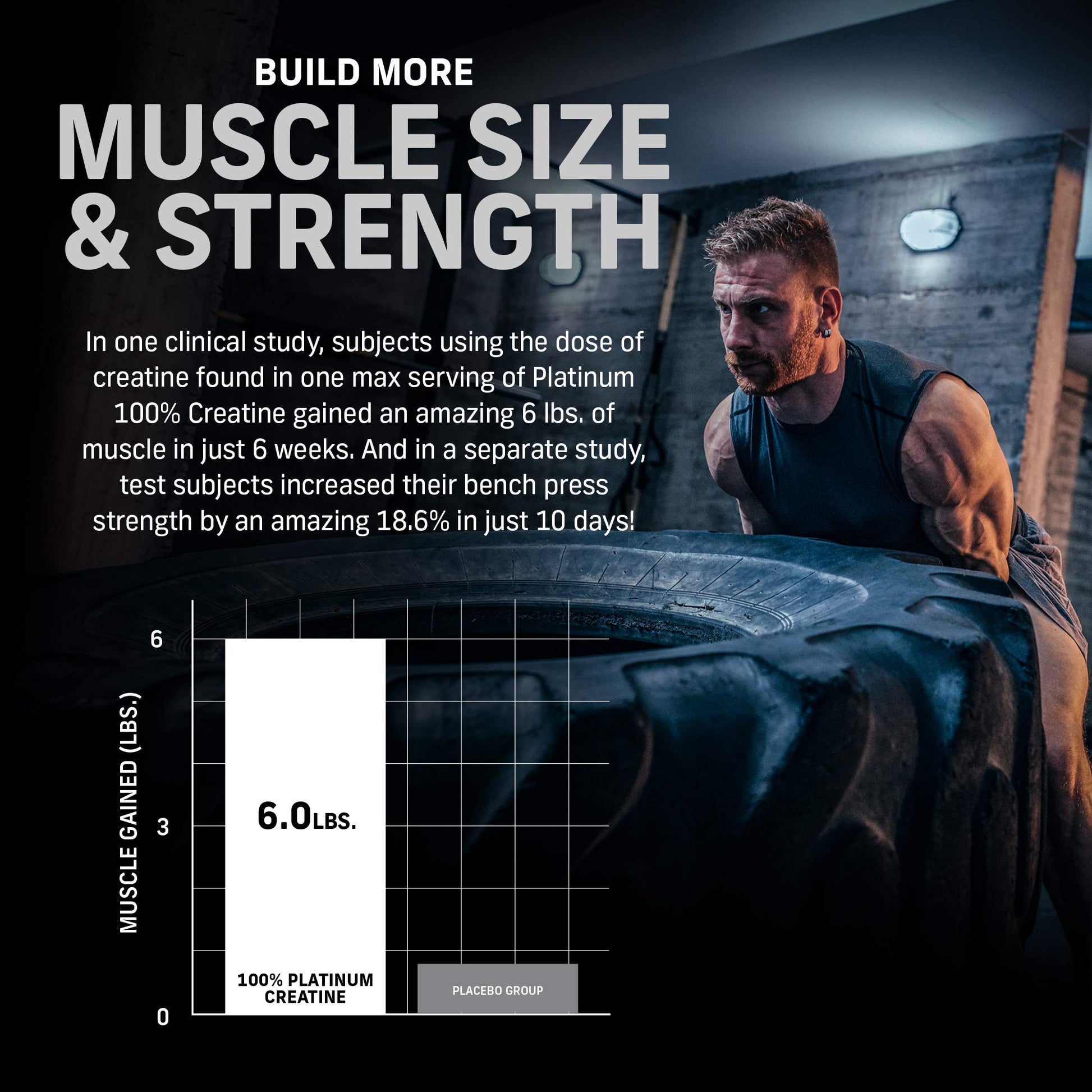 Muscletech Whey Protein Powder Phase8 Protein Powder & nohydrate Powder Platinum Muscletech