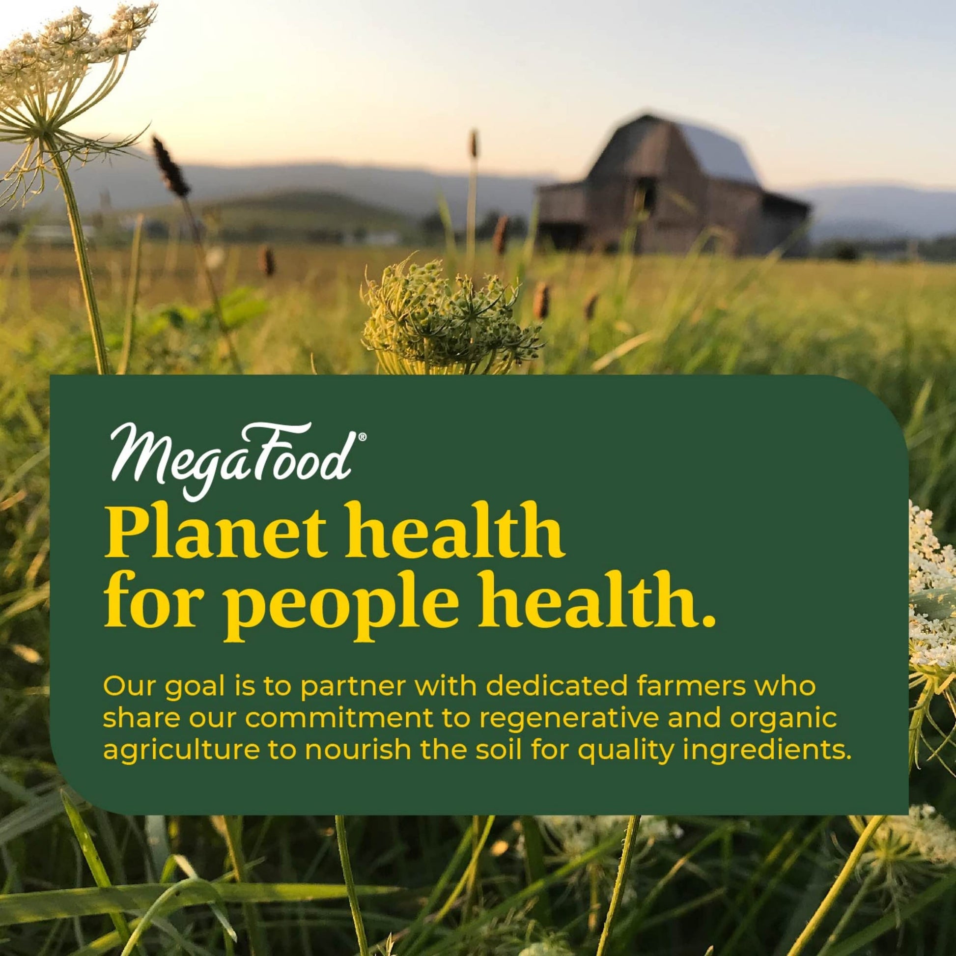 MegaFood Prenatal Vitamin & Minerals + Magnesium Supplement Daily Pack MegaFood