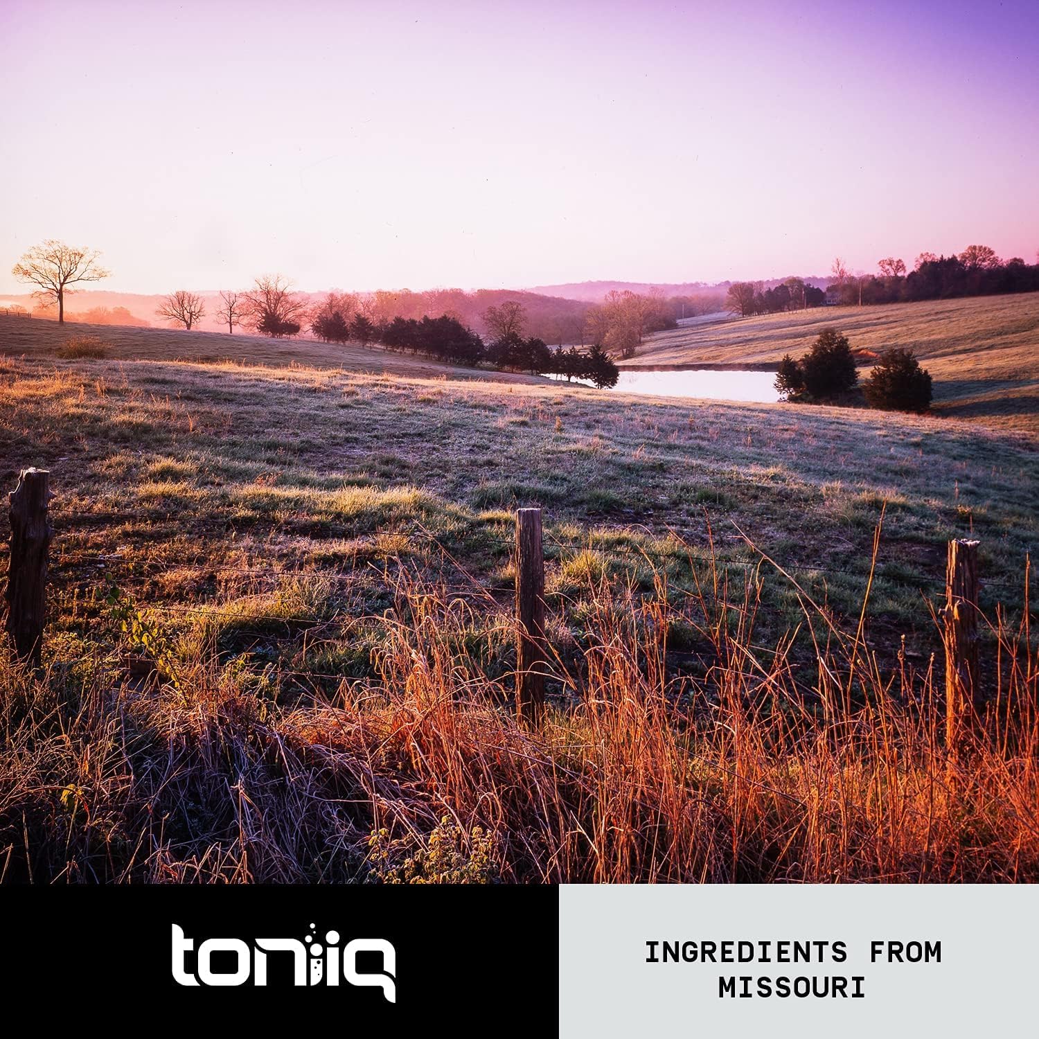 28,000mg 20x Concentrated Extract Beet Root Capsules - Natural Nitric Oxide Booster Toniiq