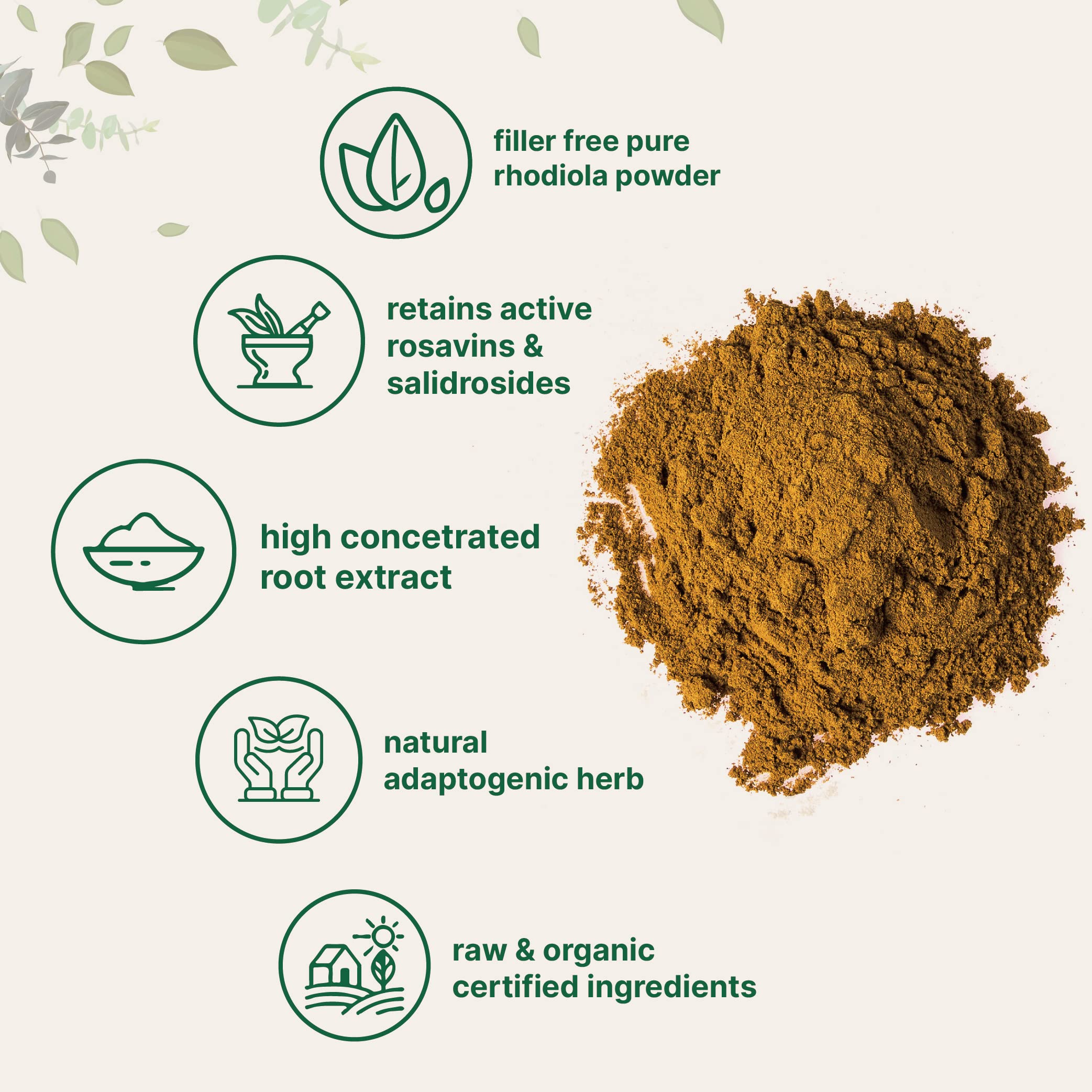 Micro Ingredients Organic Rhodiola Rosea Root Extract, 50g Powder | Adaptogenic Herb Micro Ingredients