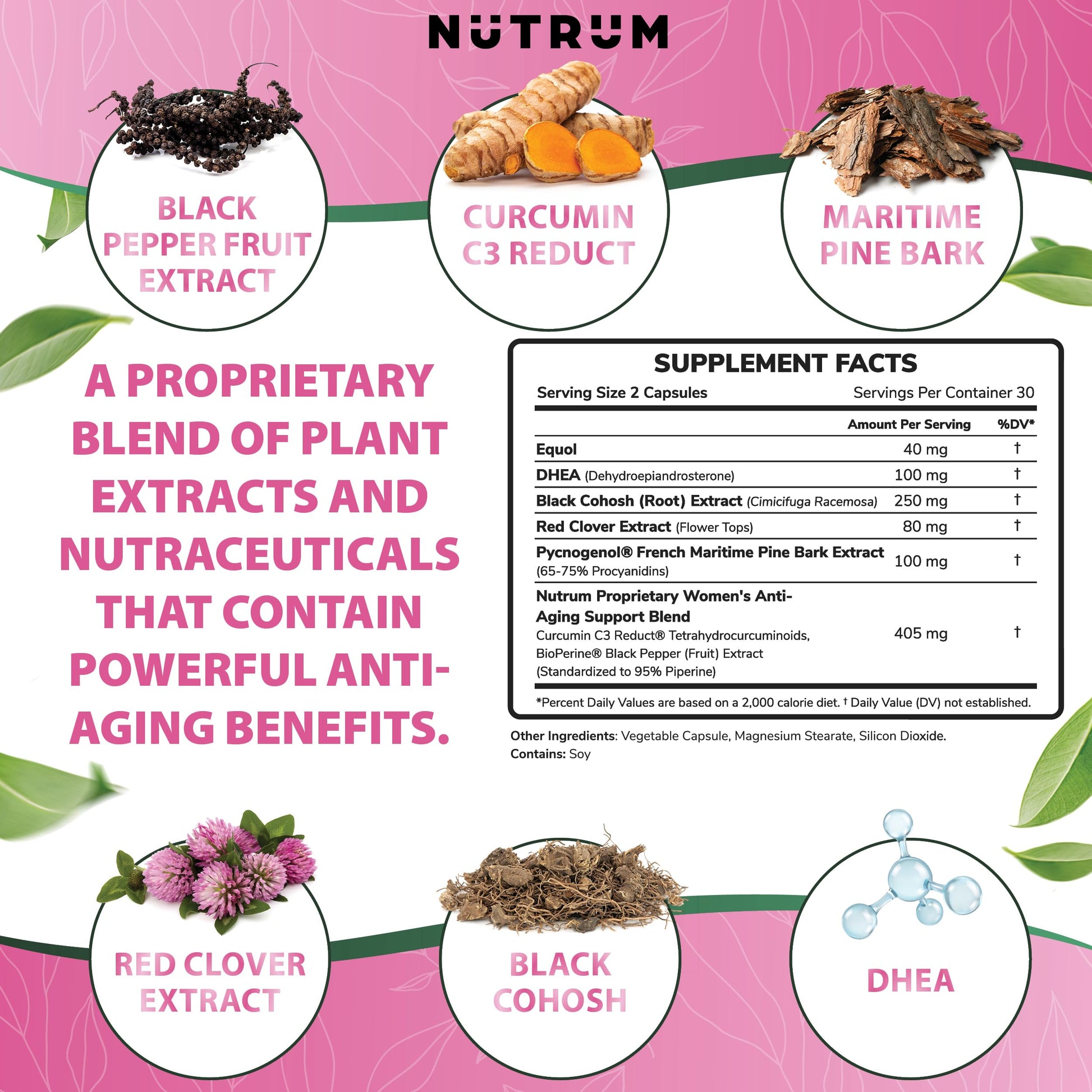 Estrolife Anti-Aging Support for Women by Nutrum, Vegan Supplement for Long Lasting Female Hormonal Balance Nutrum