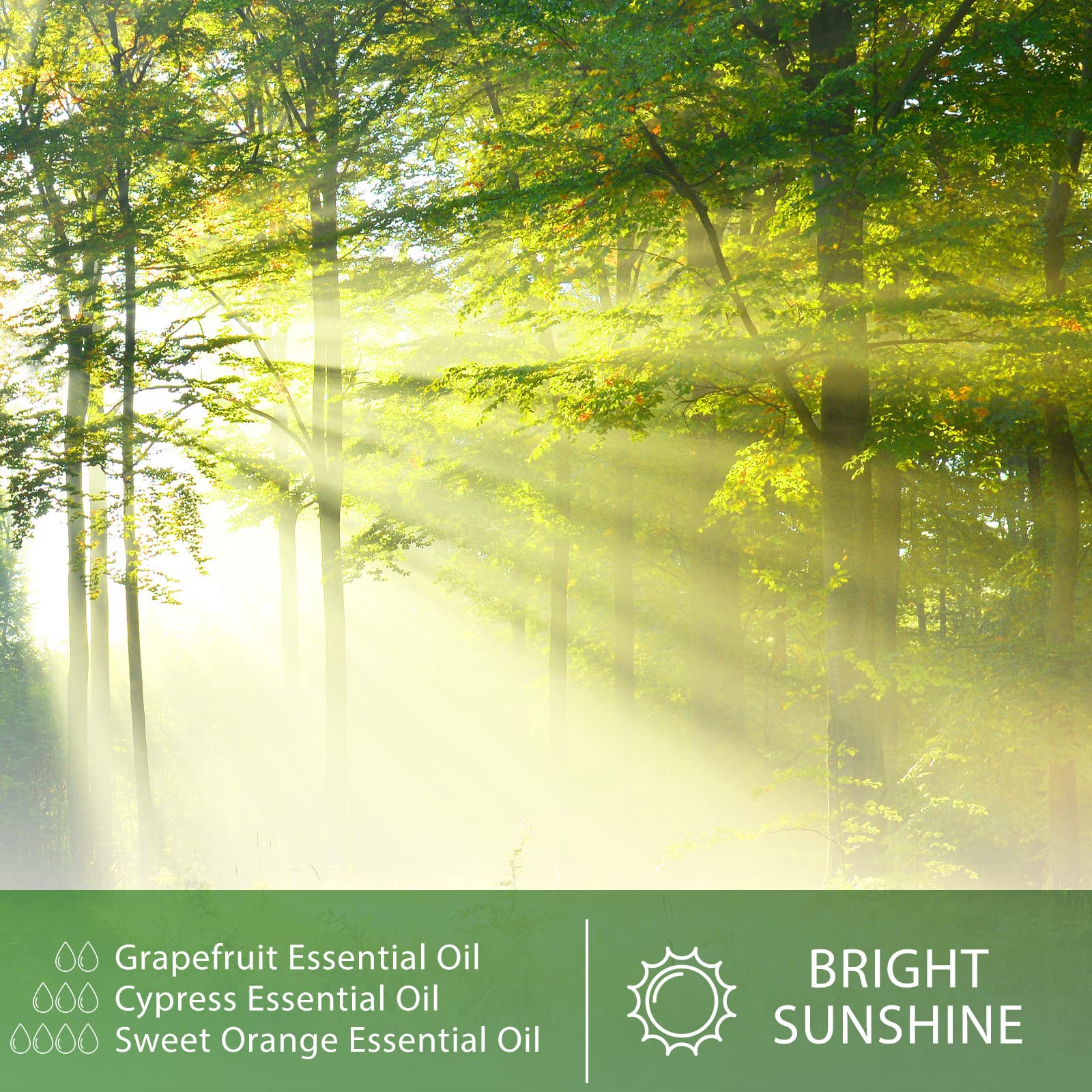 Cypress 3.38fl.oz Essential Oil, PHATOIL Aromatherapy Essential Oils for Diffuser, Humidifier PHATOIL