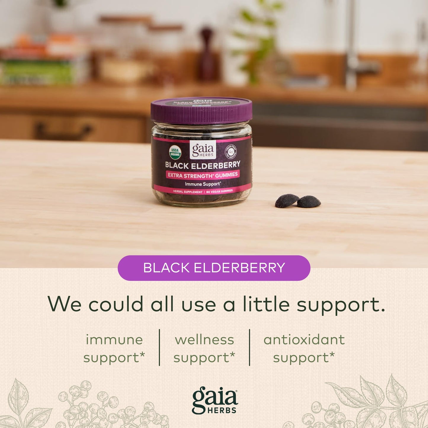 Gaia Herbs Black Elderberry (Sambucus Nigra) Extra Strength Gummies