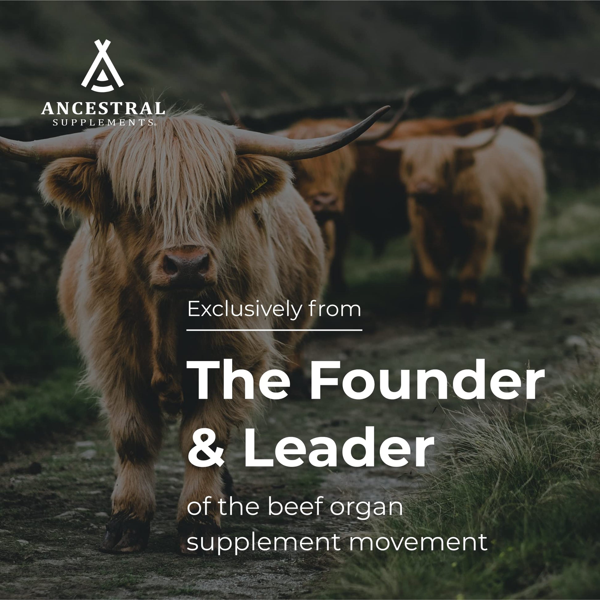 Ancestral Supplements Grass Fed Beef Colostrum Supplement, 3000 mg, 180 Capsules Ancestral Supplements