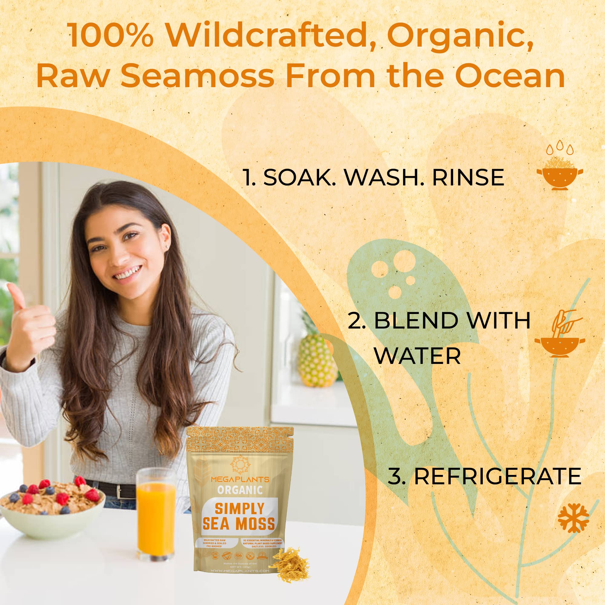 MEGAPLANTS Organic Sea Moss | Makes 228 Servings of Seamoss Gel | Pre-Washed MEGAPLANTS