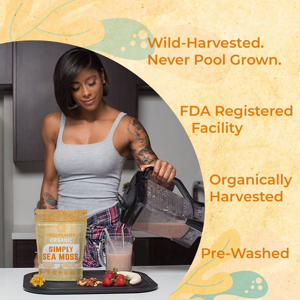 MEGAPLANTS Organic Sea Moss | Makes 228 Servings of Seamoss Gel | Pre-Washed MEGAPLANTS