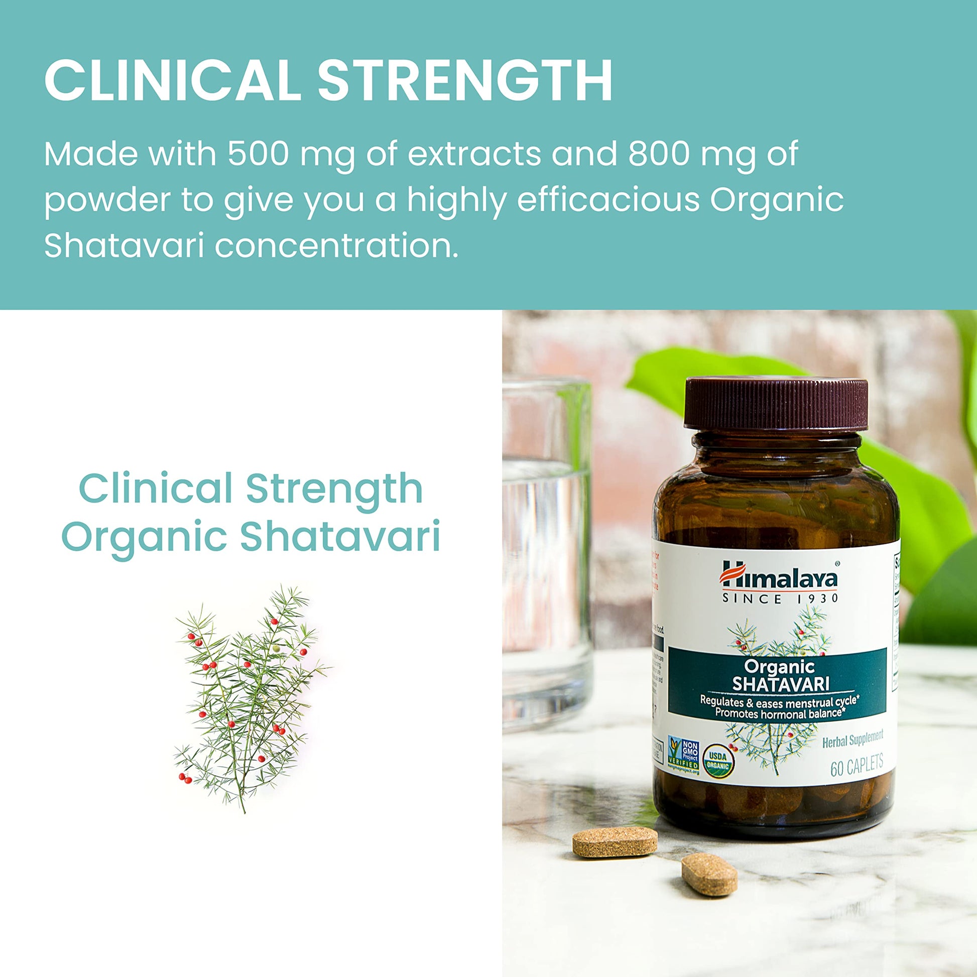 Himalaya Organic Shatavari for PMS, Menstrual Cramp Relief, Menopause Support, and Women's Health Himalaya