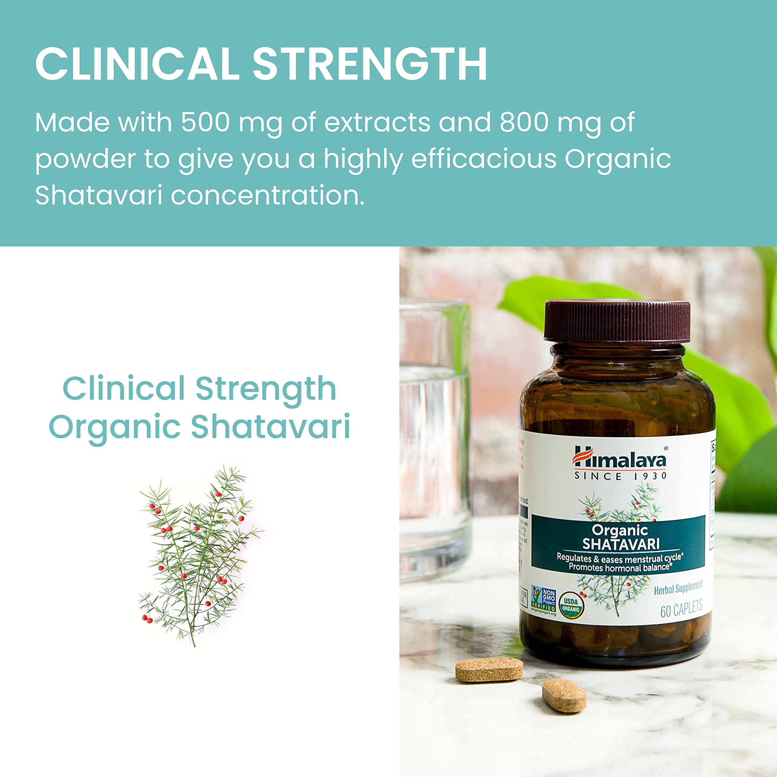 Himalaya Organic Shatavari for PMS, Menstrual Cramp Relief, Menopause Support, and Women's Health Himalaya