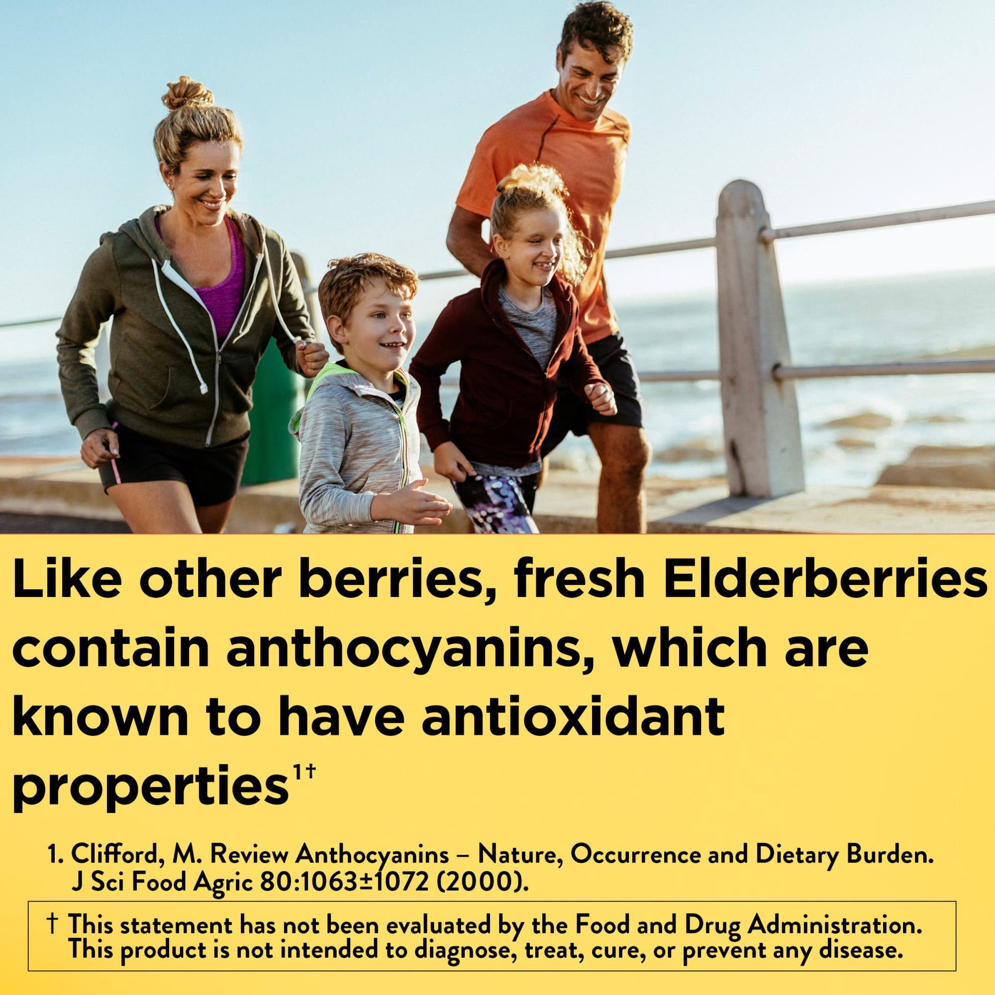 Nature Made Elderberry 400 mg Extract with Vitamin C and Zinc, Dietary Supplement Nature Made