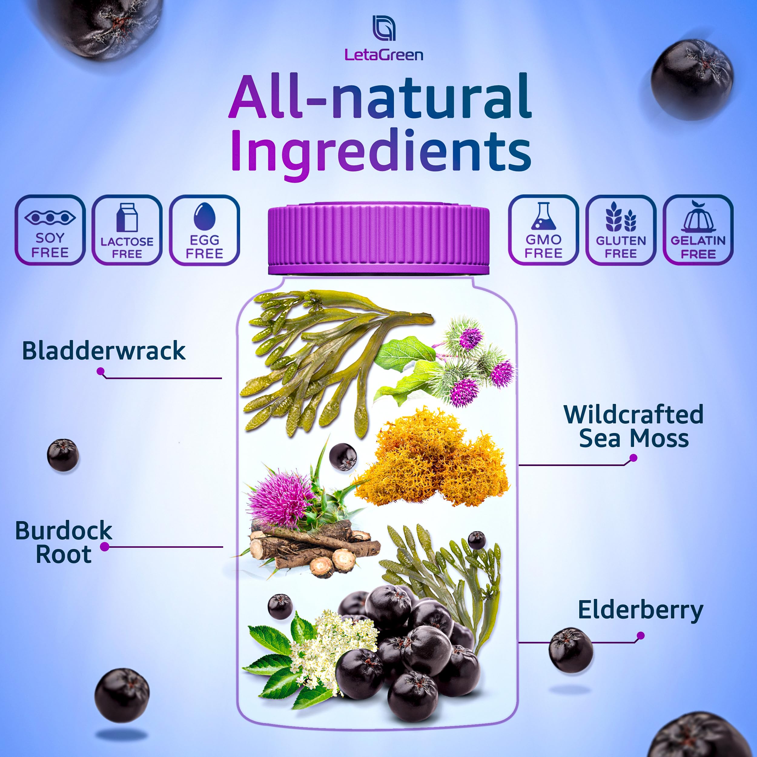 LetaGreen Irish Sea Moss Gummies - 60 Vegan Seamoss Gummies Bears LetaGreen