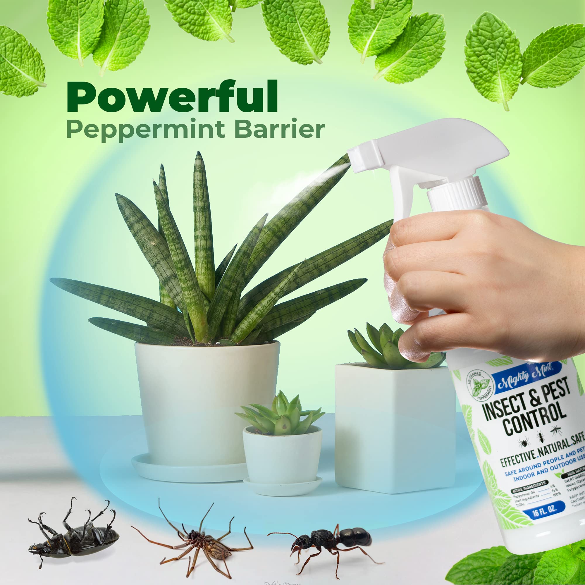 Mighty Mint 16 oz Peppermint Oil Insect & Pest Spray - for Spiders, Ants Mighty Mint