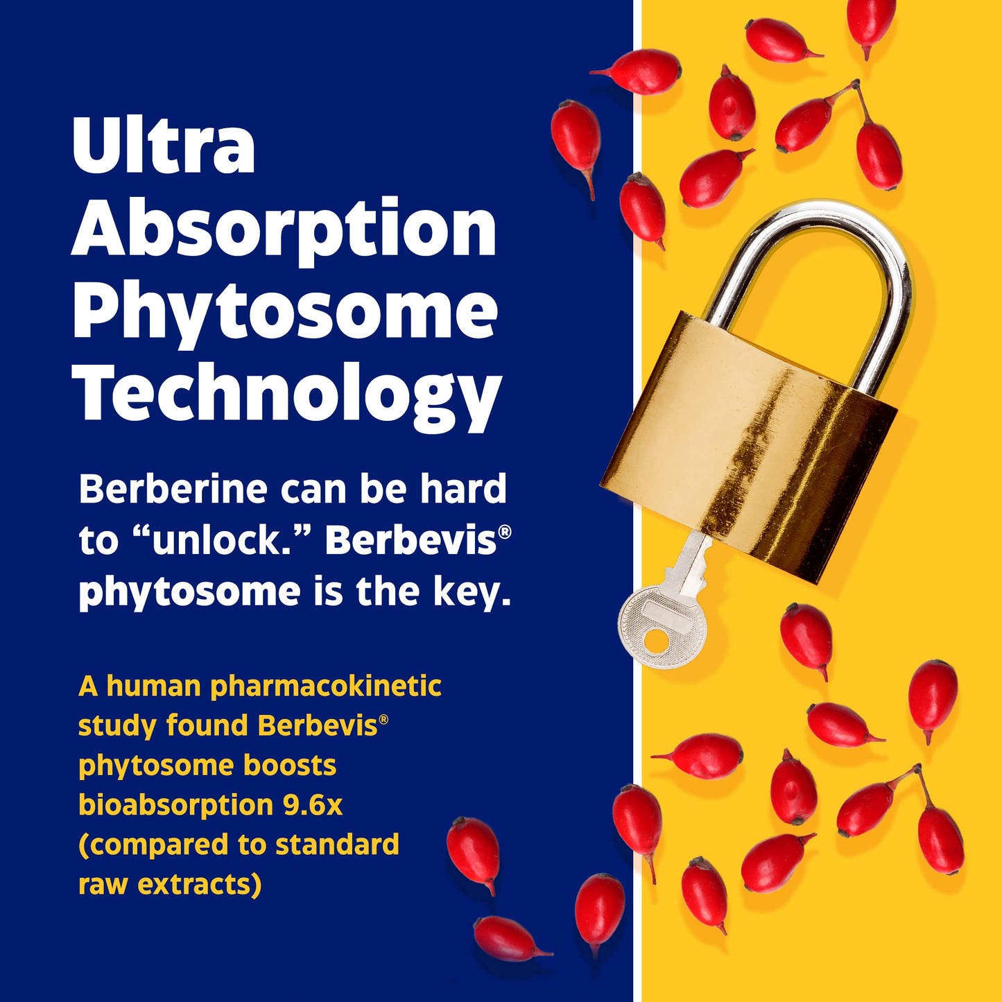 Enzymedica, Berberine Phytosome