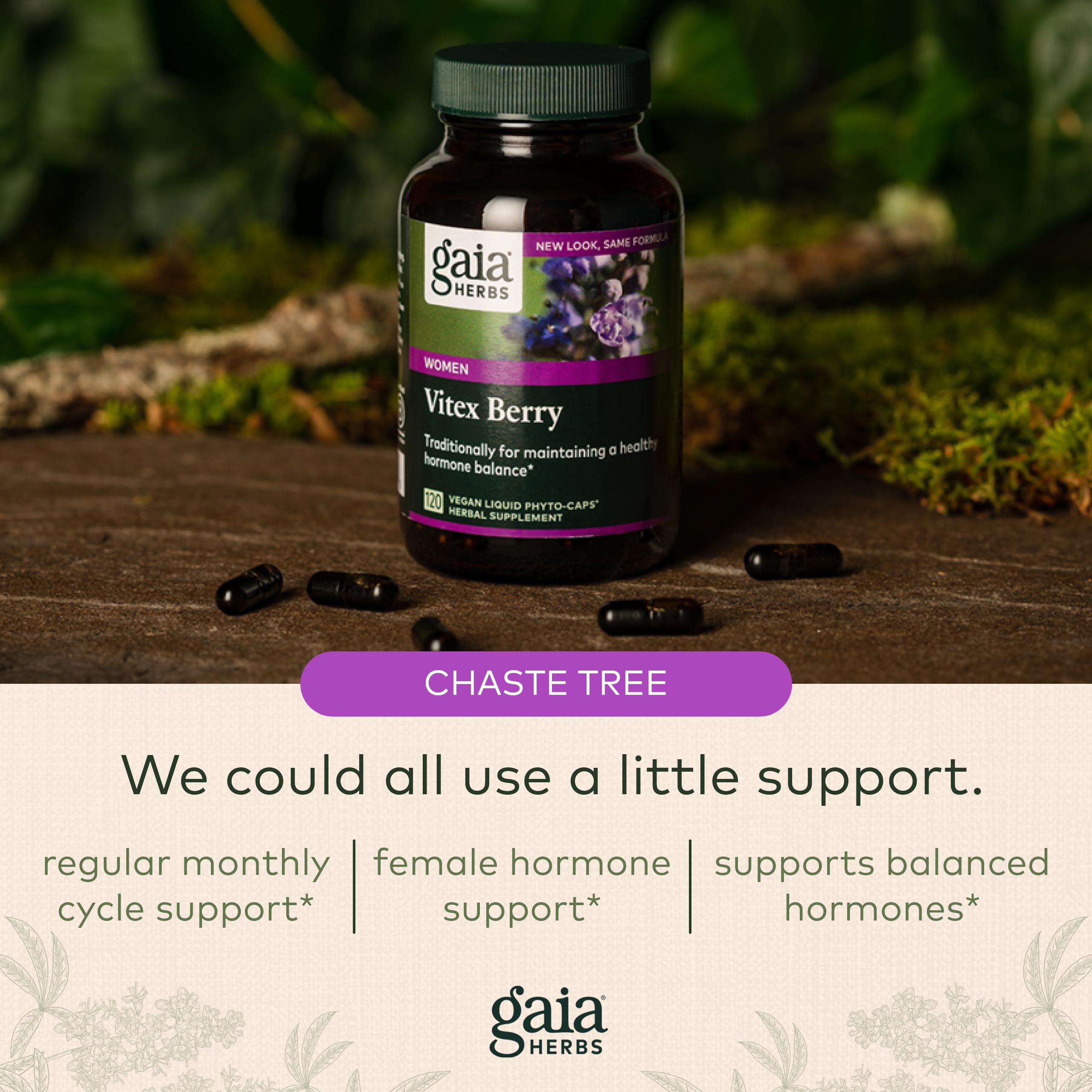 Gaia Herbs, Vitex Berry Vegan Liquid Phyto Capsules - PMS Support Supplement, Chaste Tree berry Gaia Herbs