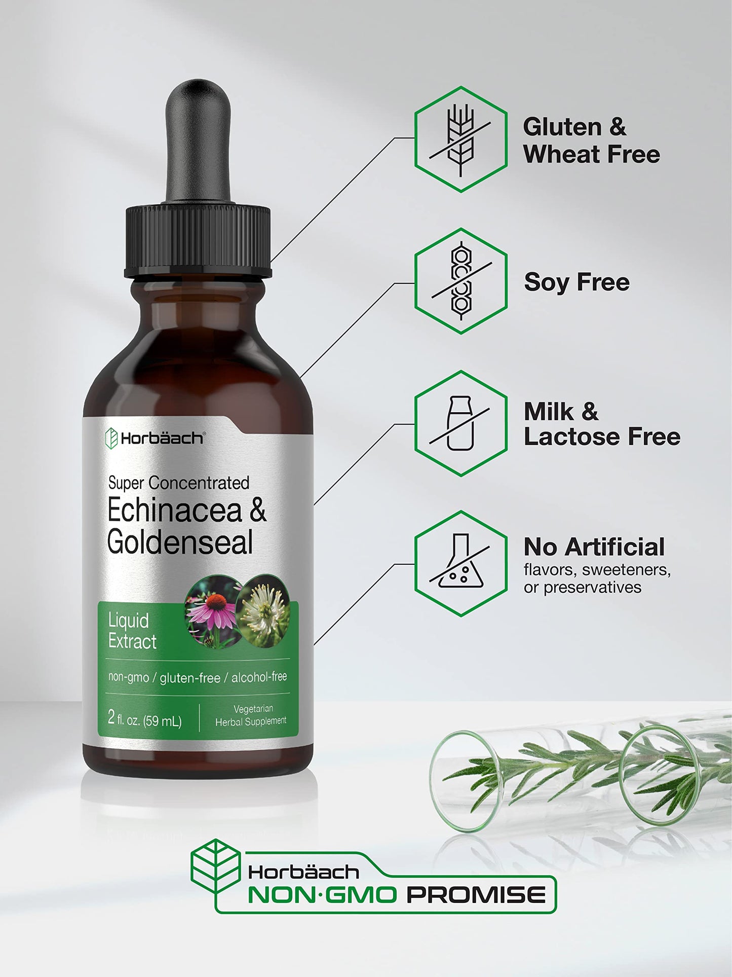 Echinacea Goldenseal Liquid Extract | 2 fl oz | Alcohol Free Tincture Drops | Vegetarian