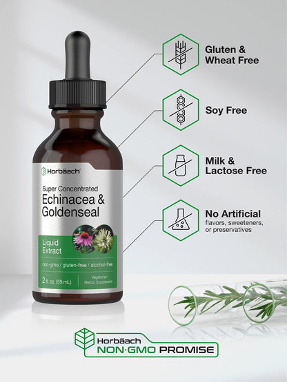 Echinacea Goldenseal Liquid Extract | 2 fl oz | Alcohol Free Tincture Drops | Vegetarian